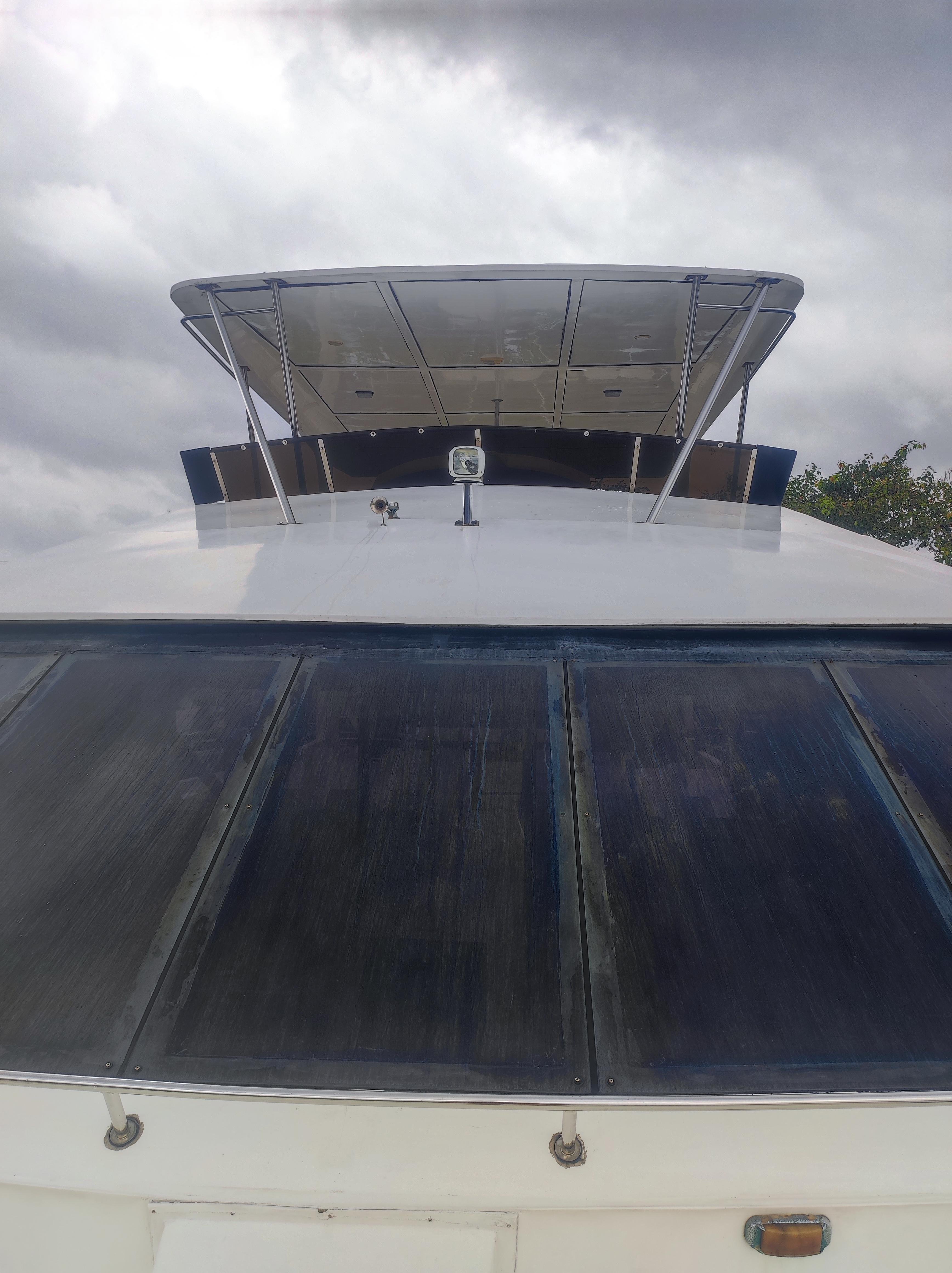 Mirissa Whale & Dolphin Spotting Cruise