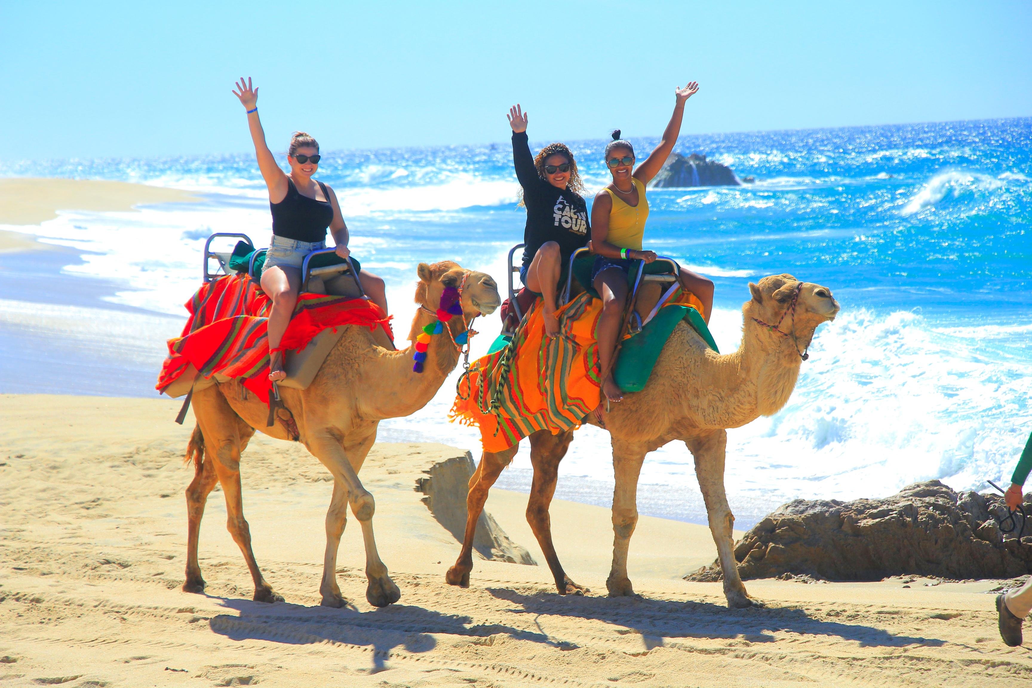 Cabo Beach ATV & Camel Ride Combo – Cactus Tours Park