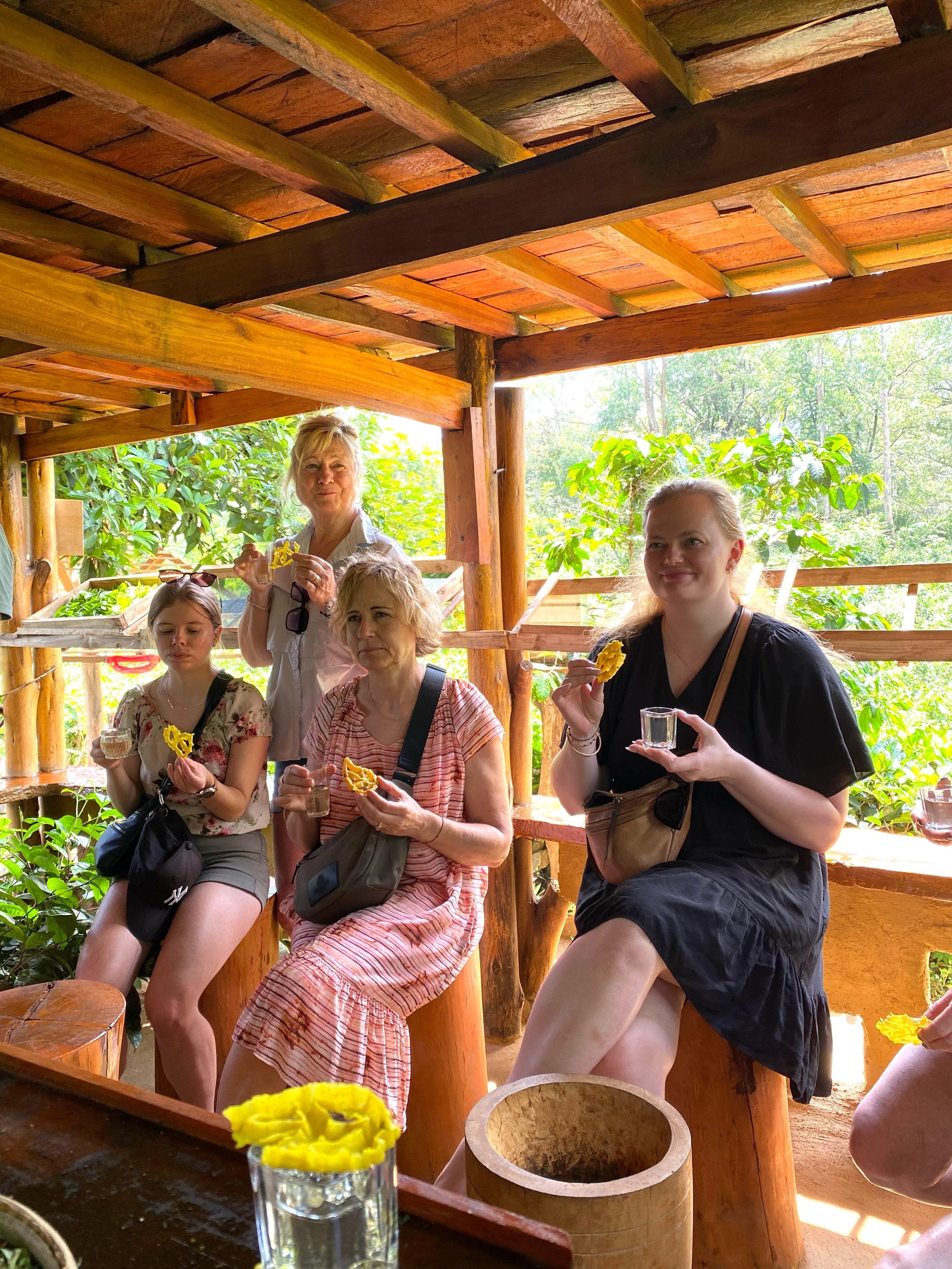 Ella: Hands-On Tea Crafting and Tasting Experience