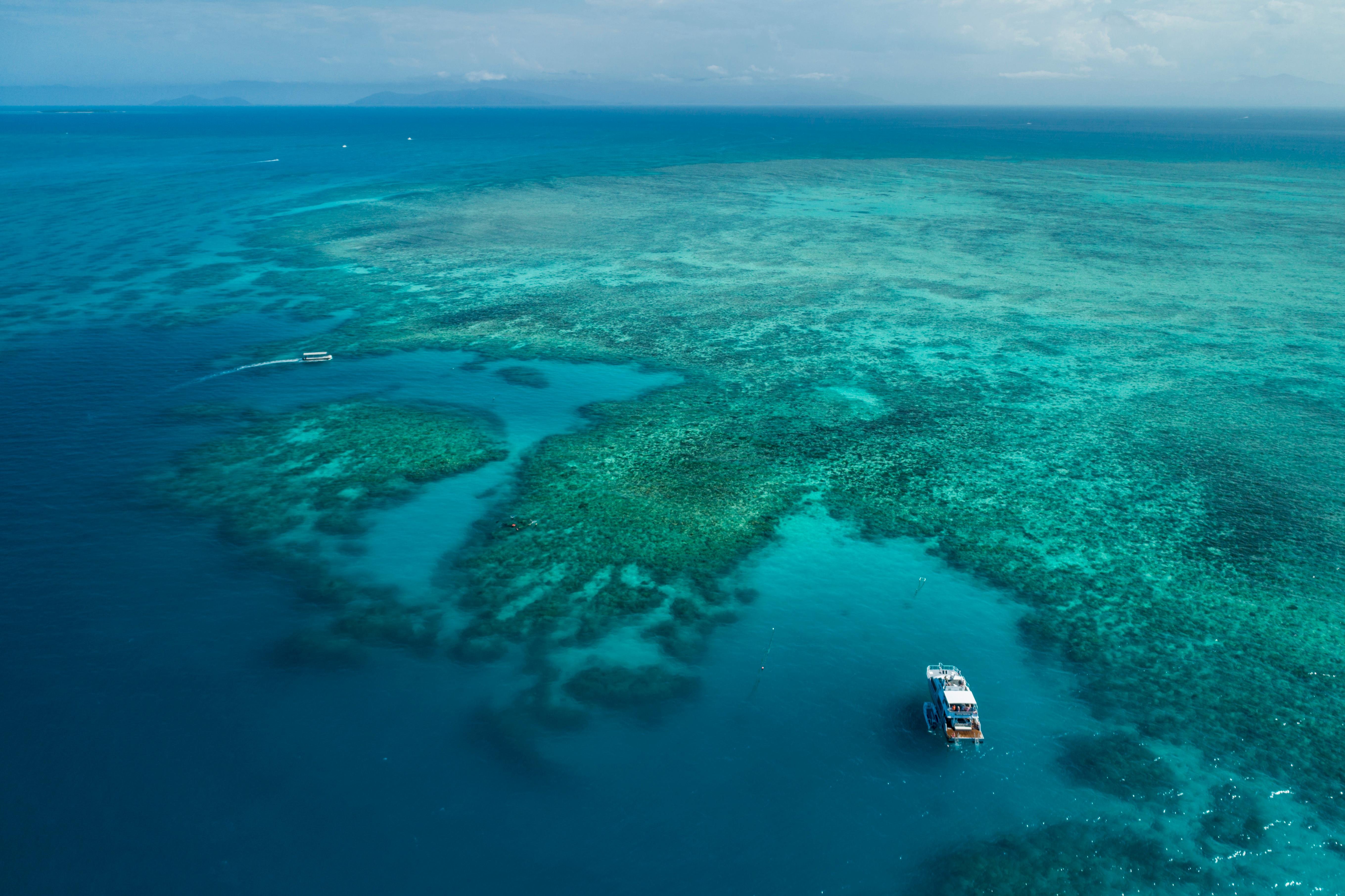 Cairns barrier reef tour to Upolu Reef — photo 9