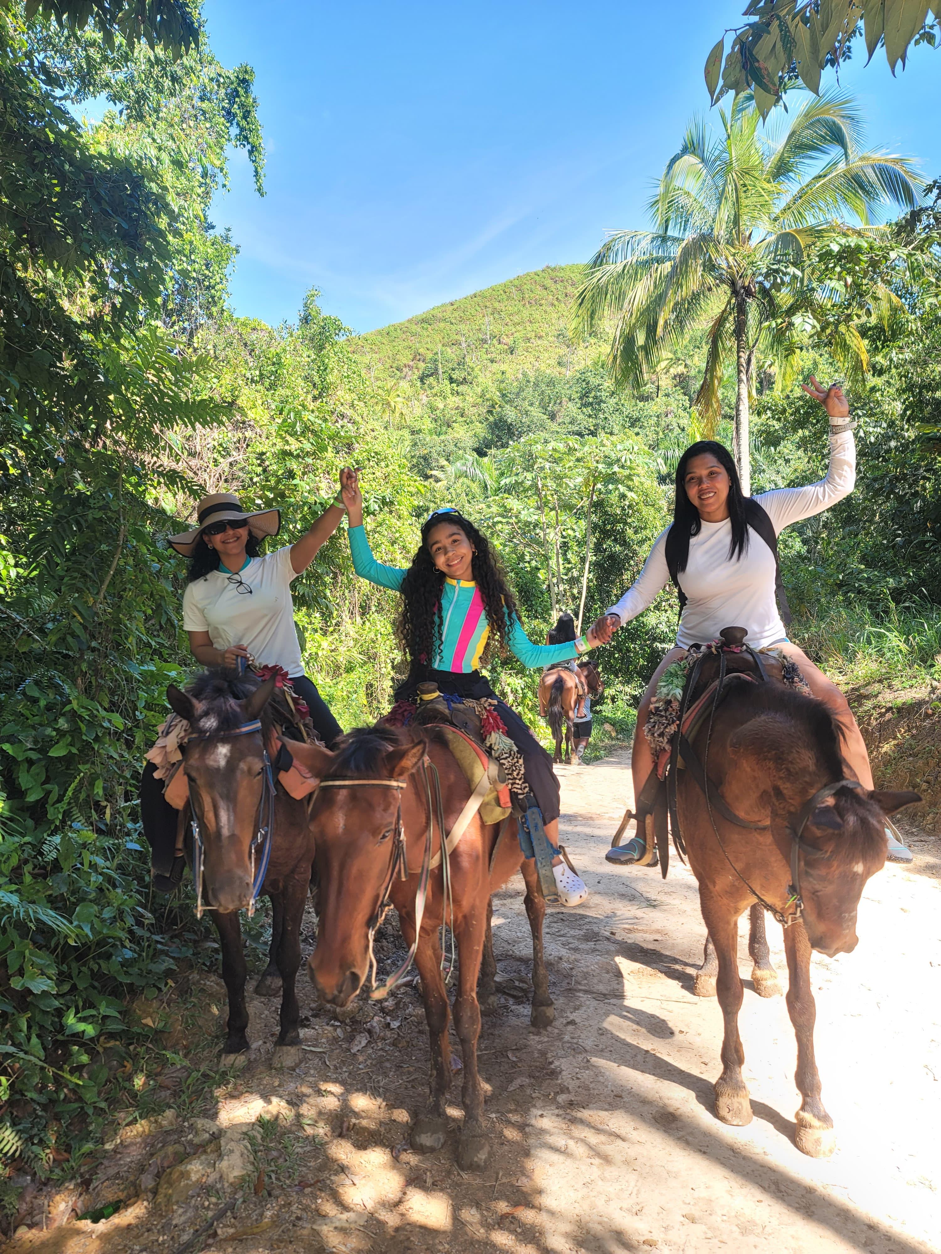 Samaná Bay & El Limón Waterfall Full-Day Adventure