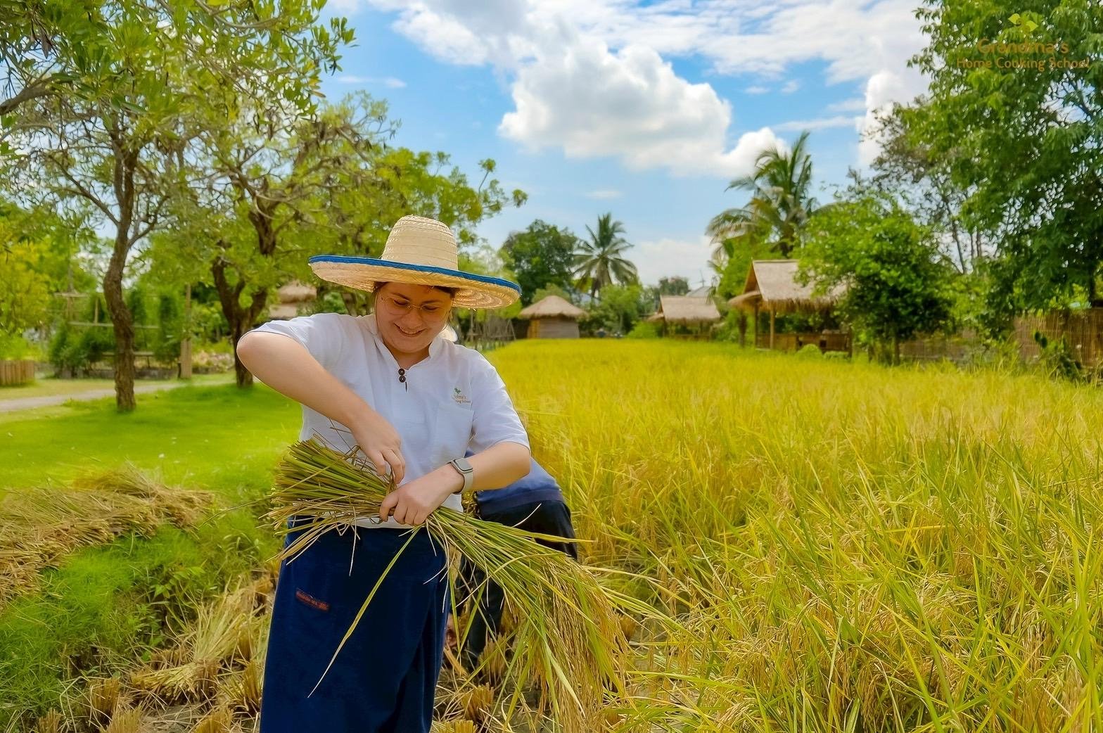 Thai Cooking Class in Chiang Mai — image 68