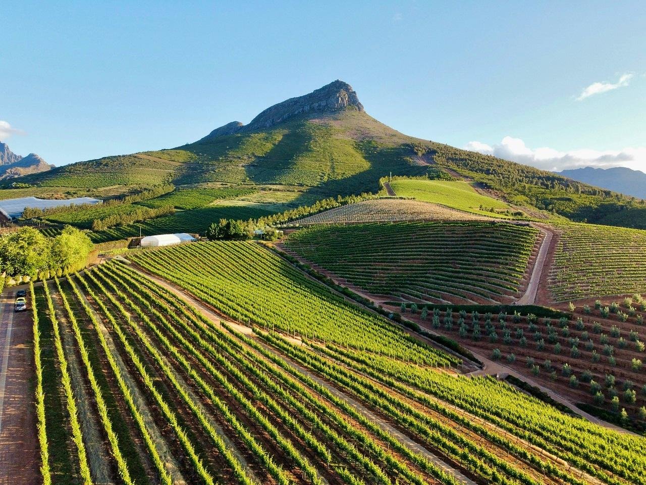 Cape Winelands Full-Day Tour: Stellenbosch, Franschhoek & Paarl