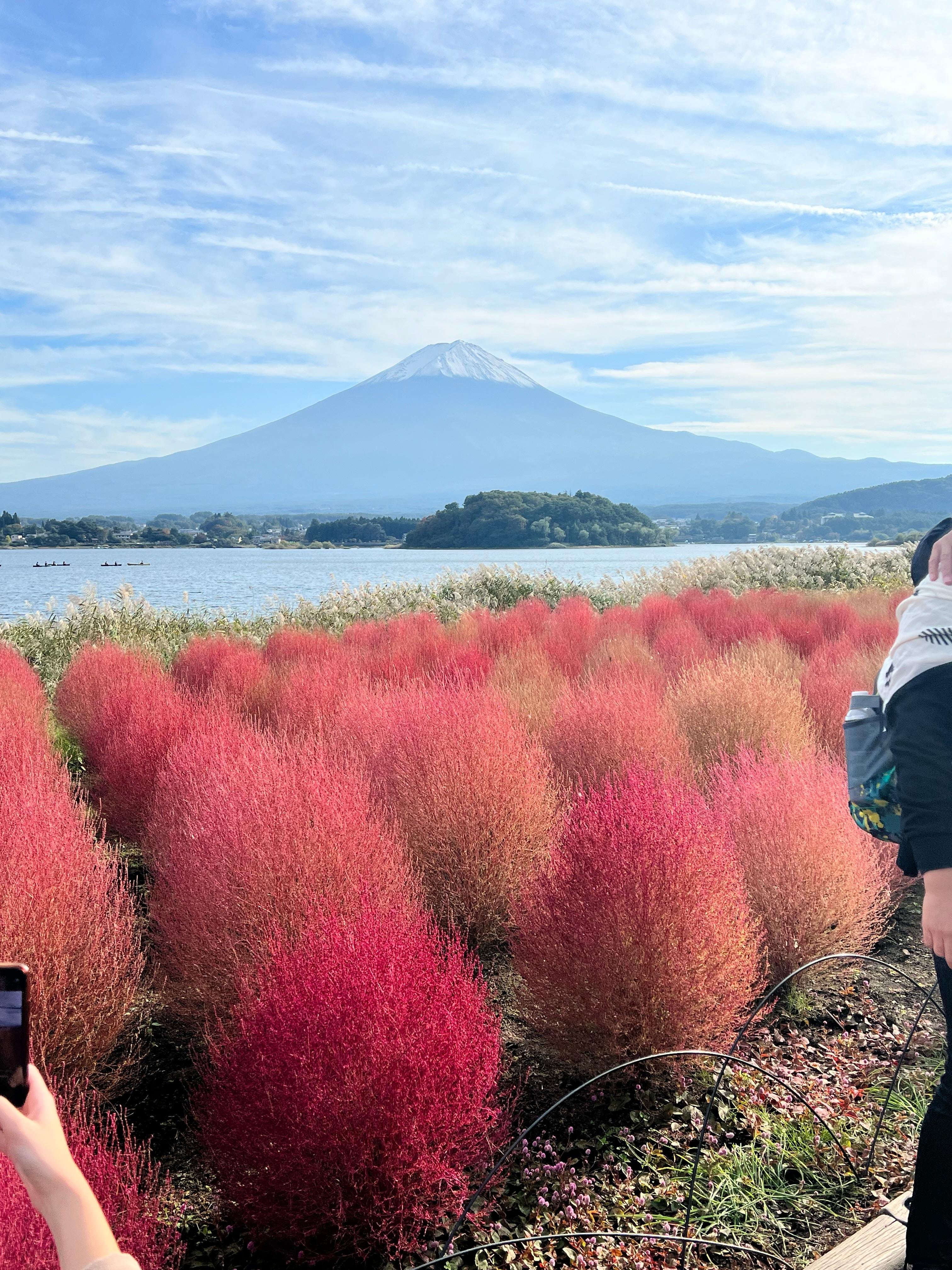 Mount Fuji & Hakone Private Full-Day Tour from Tokyo