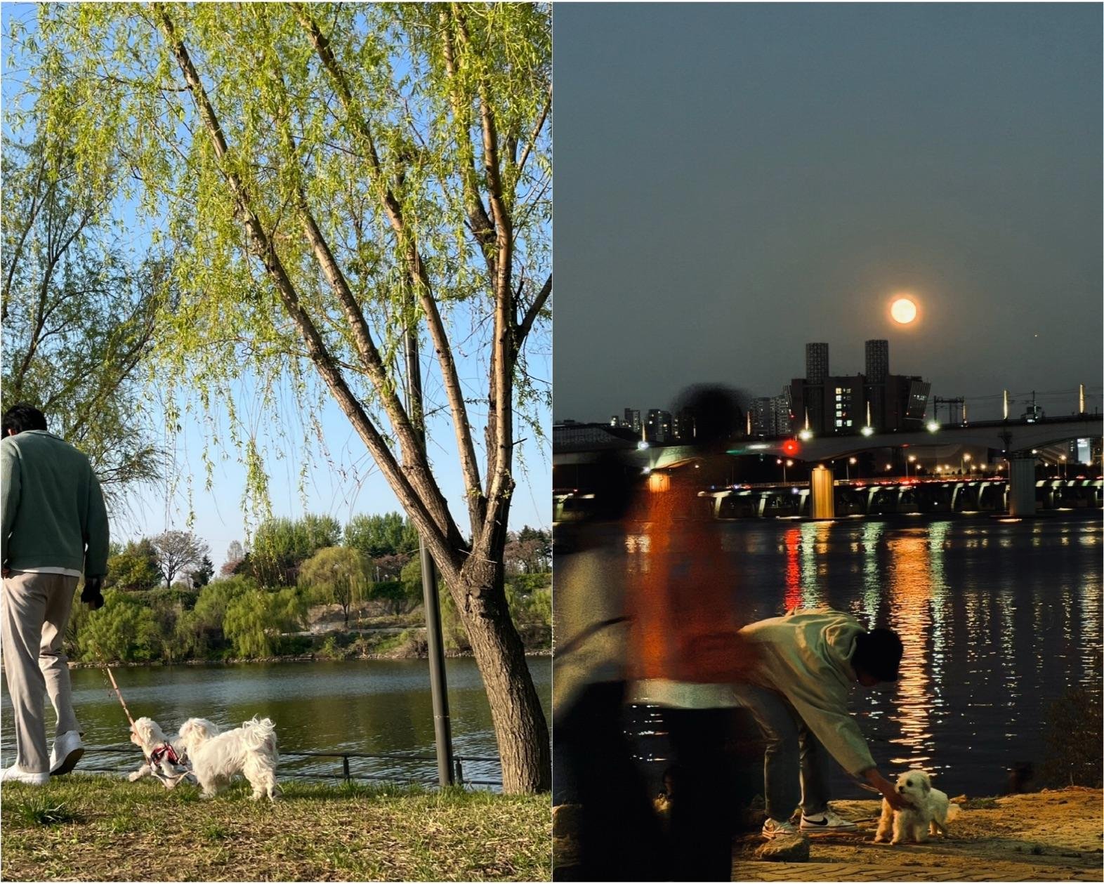 Seoul Half-Day Private Tour with Airport Drop-Off