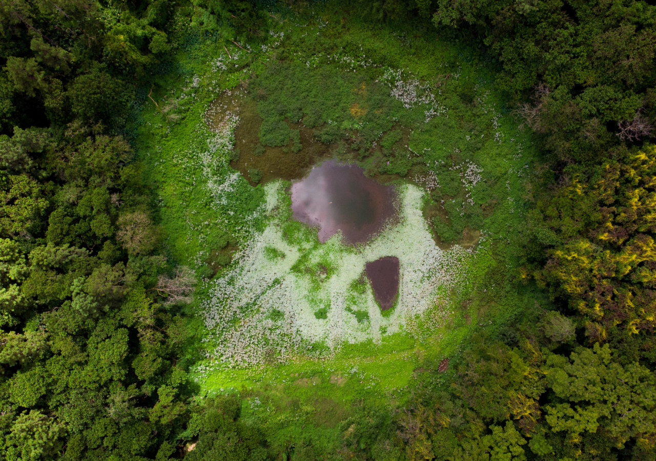 Mauritius Tea Route: Volcano, Sacred Lake & Tea Plantation Experience
