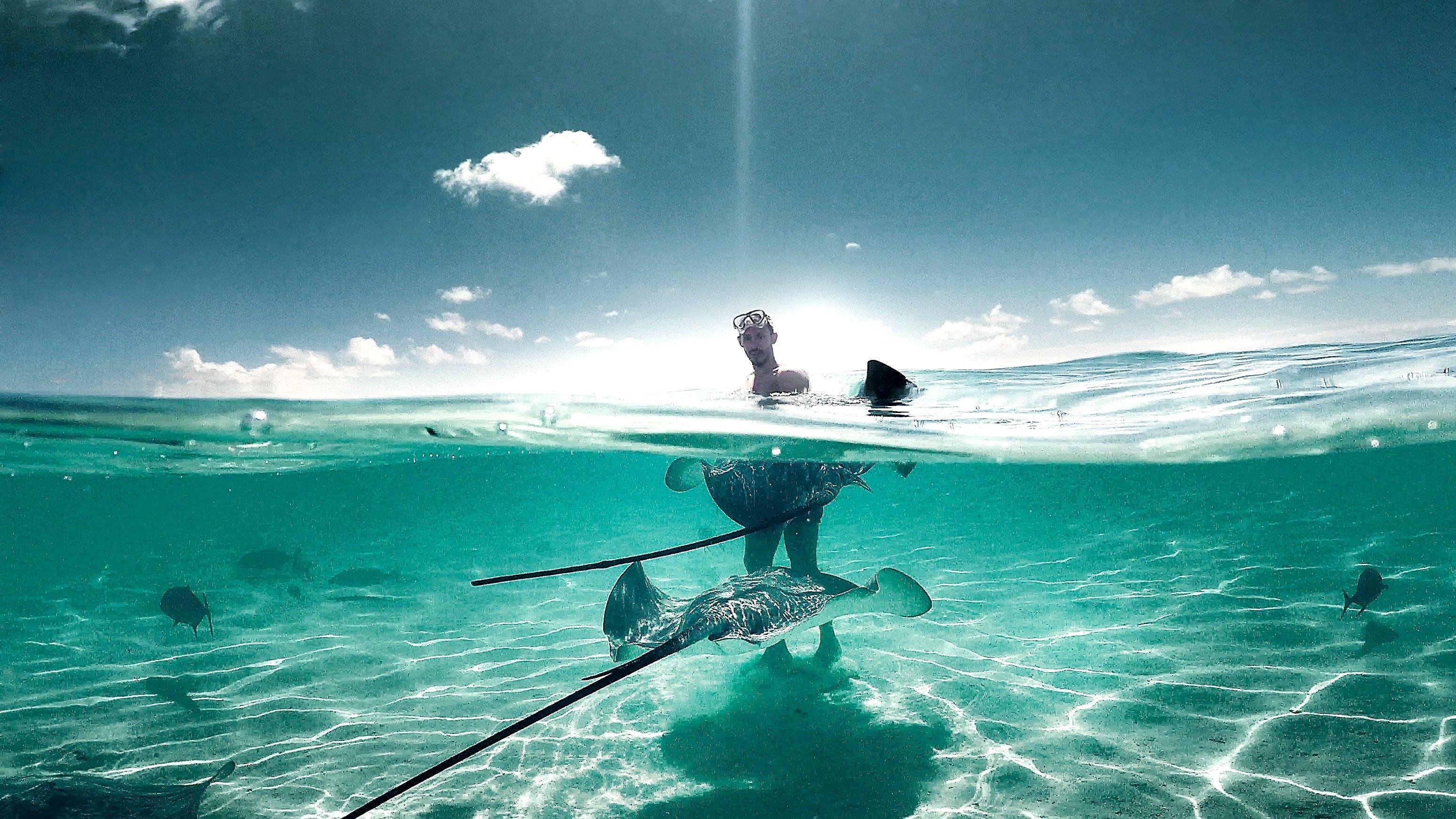 Bahamas Day Escape: Bimini or Grand Bahama Ferry