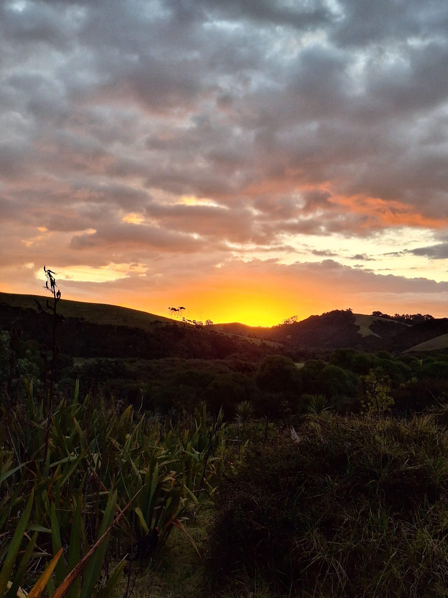 Auckland: Stargazing, Meteor Showers and Cosmic Events Tour