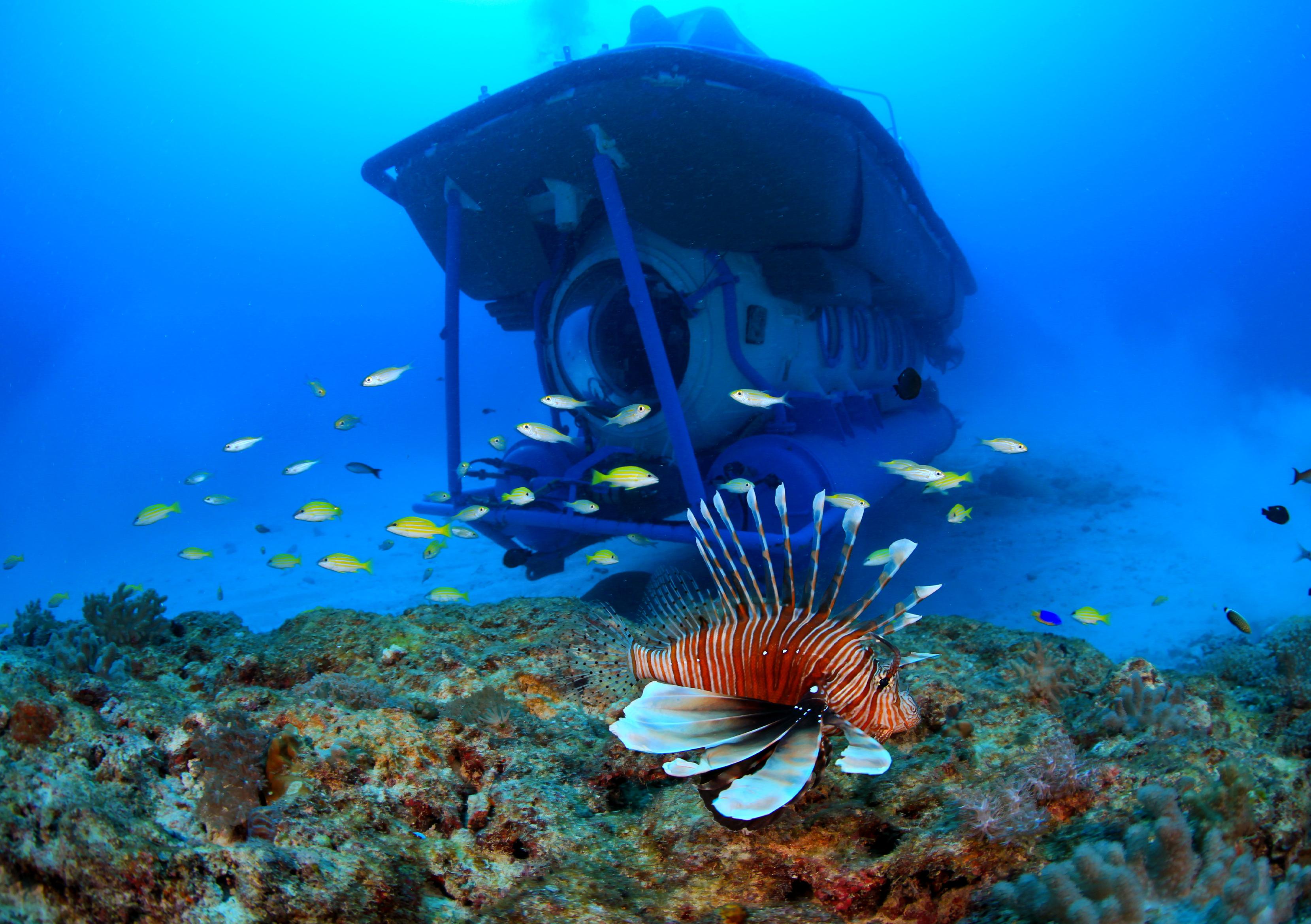 Trou-aux-Biches Submarine Deep-Sea Wreck Expedition