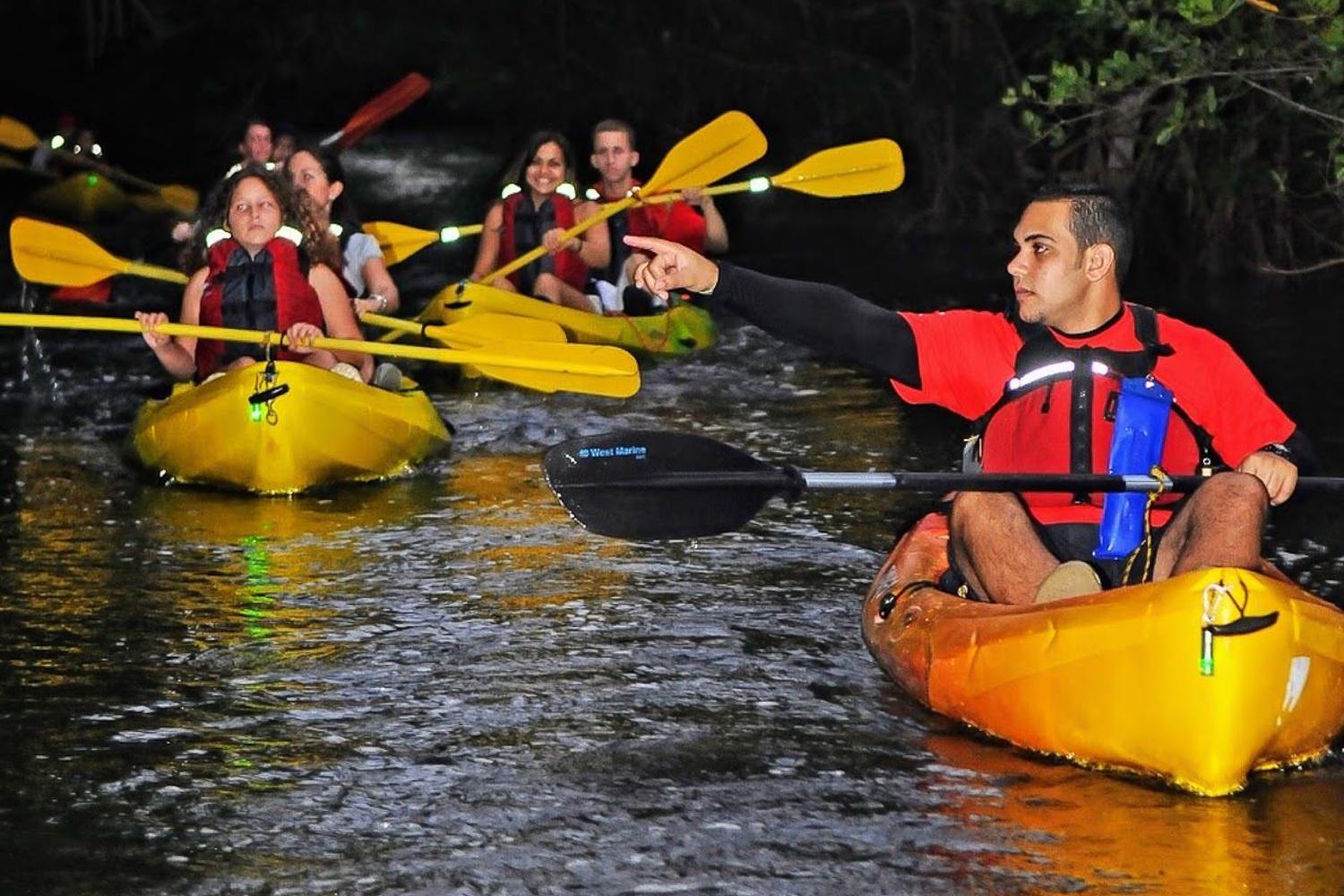 Full-Day El Yunque Rainforest and Bioluminescent Bay Expedition