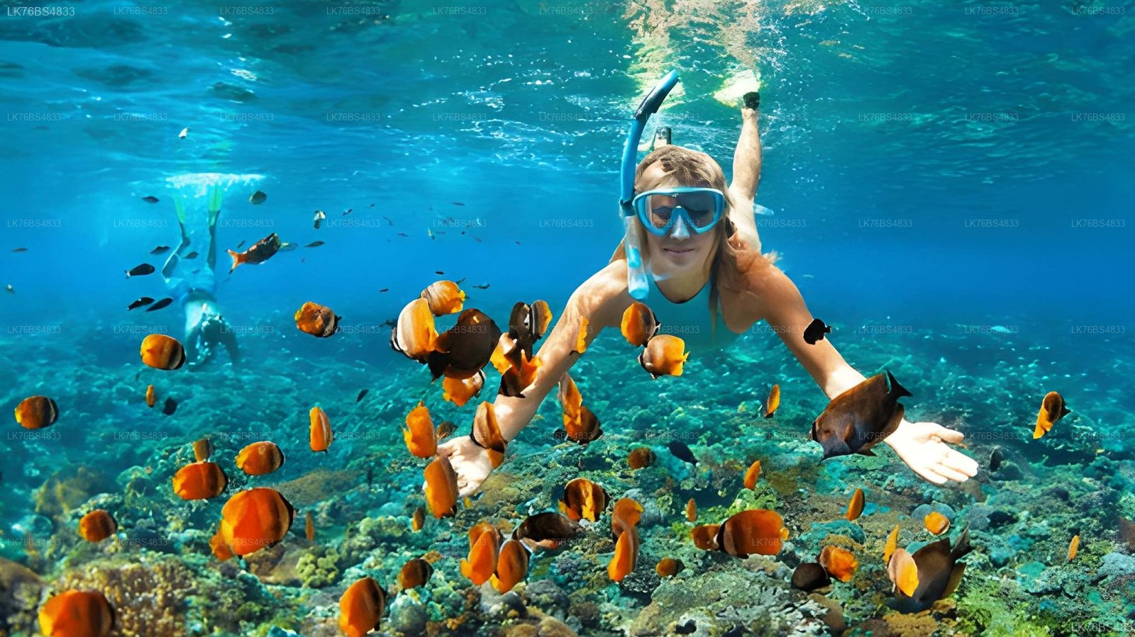 Pigeon Island Reef Snorkeling Adventure