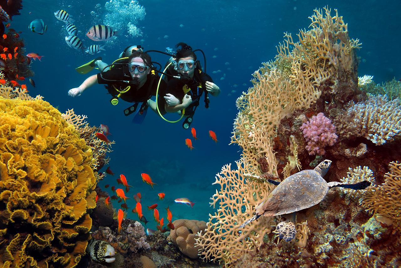 Ras Mohammed Luxury Dive Cruise from Sharm El Sheikh with Lunch
