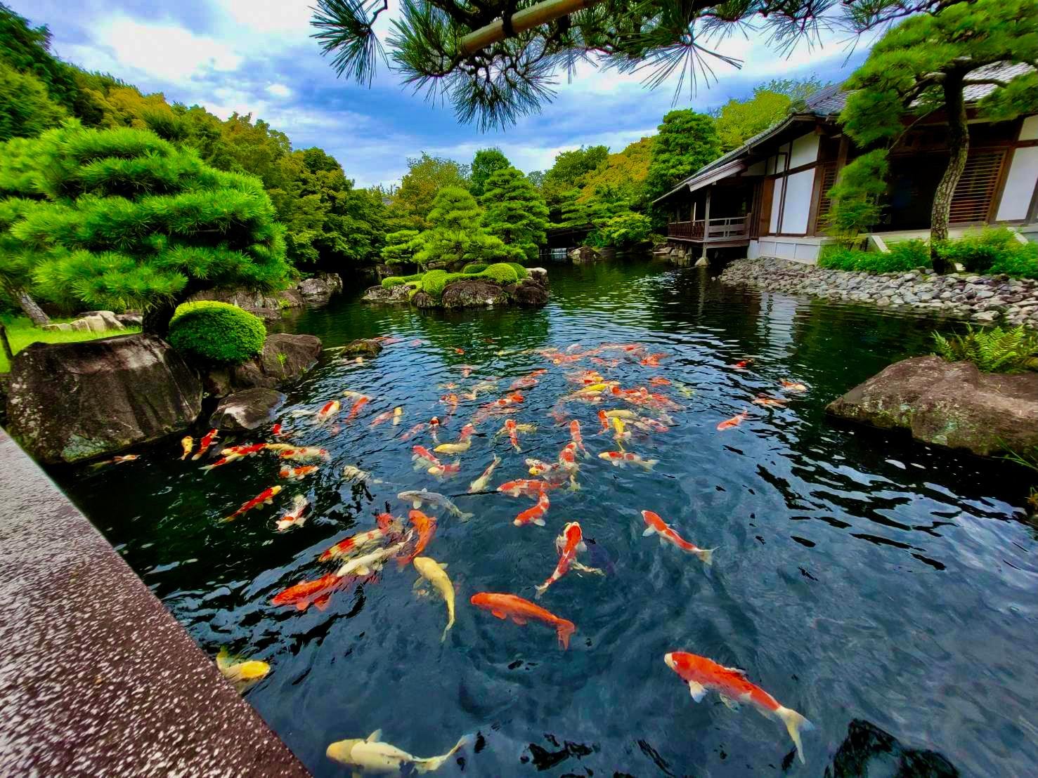 From Osaka: Himeji Castle, Arima Onsen & Mt. Rokko Day Tour - 2026 (Verified Reviews)