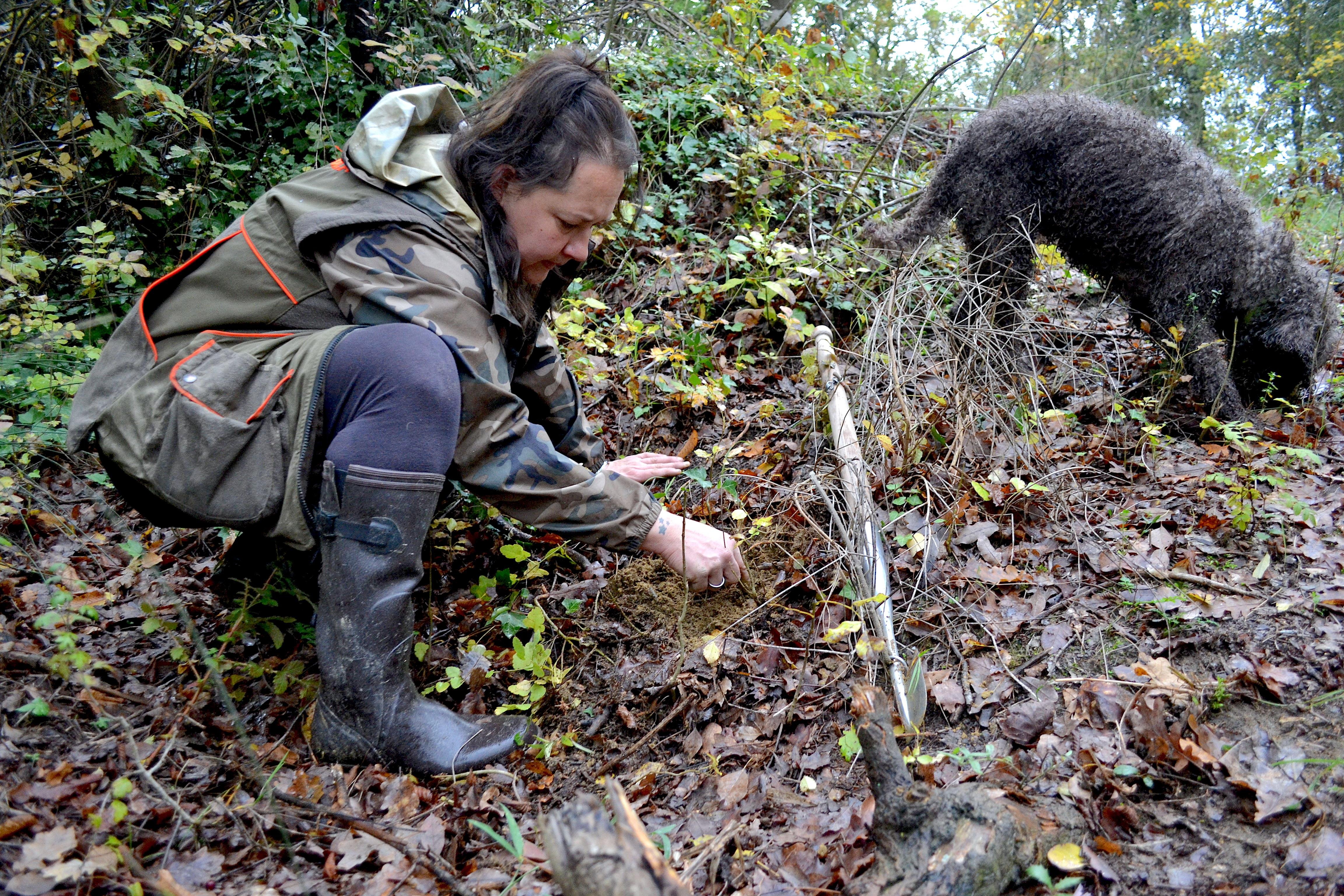 San Miniato: Truffle Hunting, Food, and Gourmet Experience - 2026 (Verified Reviews)