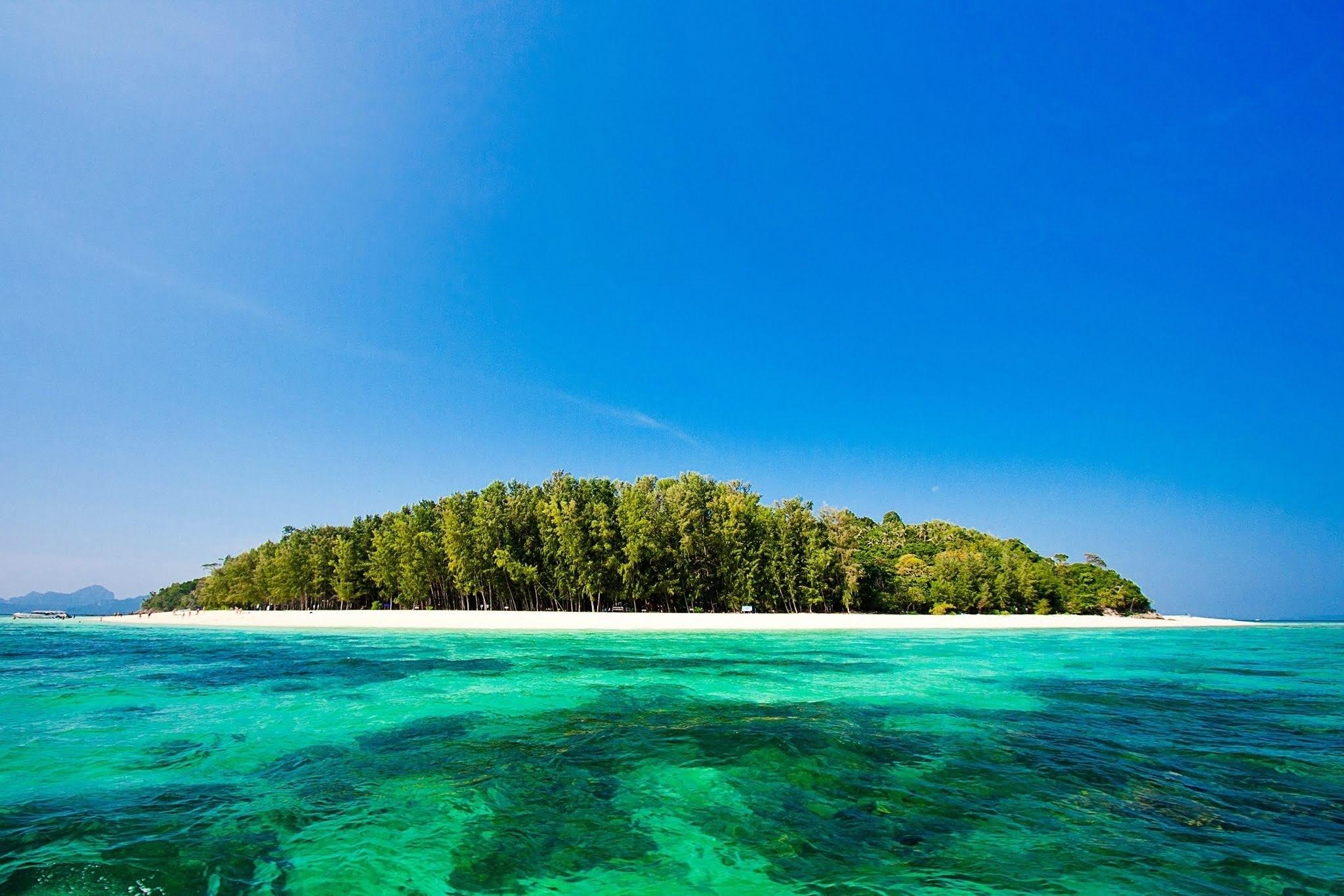 Krabi: Phi Phi Islands & Maya Bay Full-Day Speedboat Tour