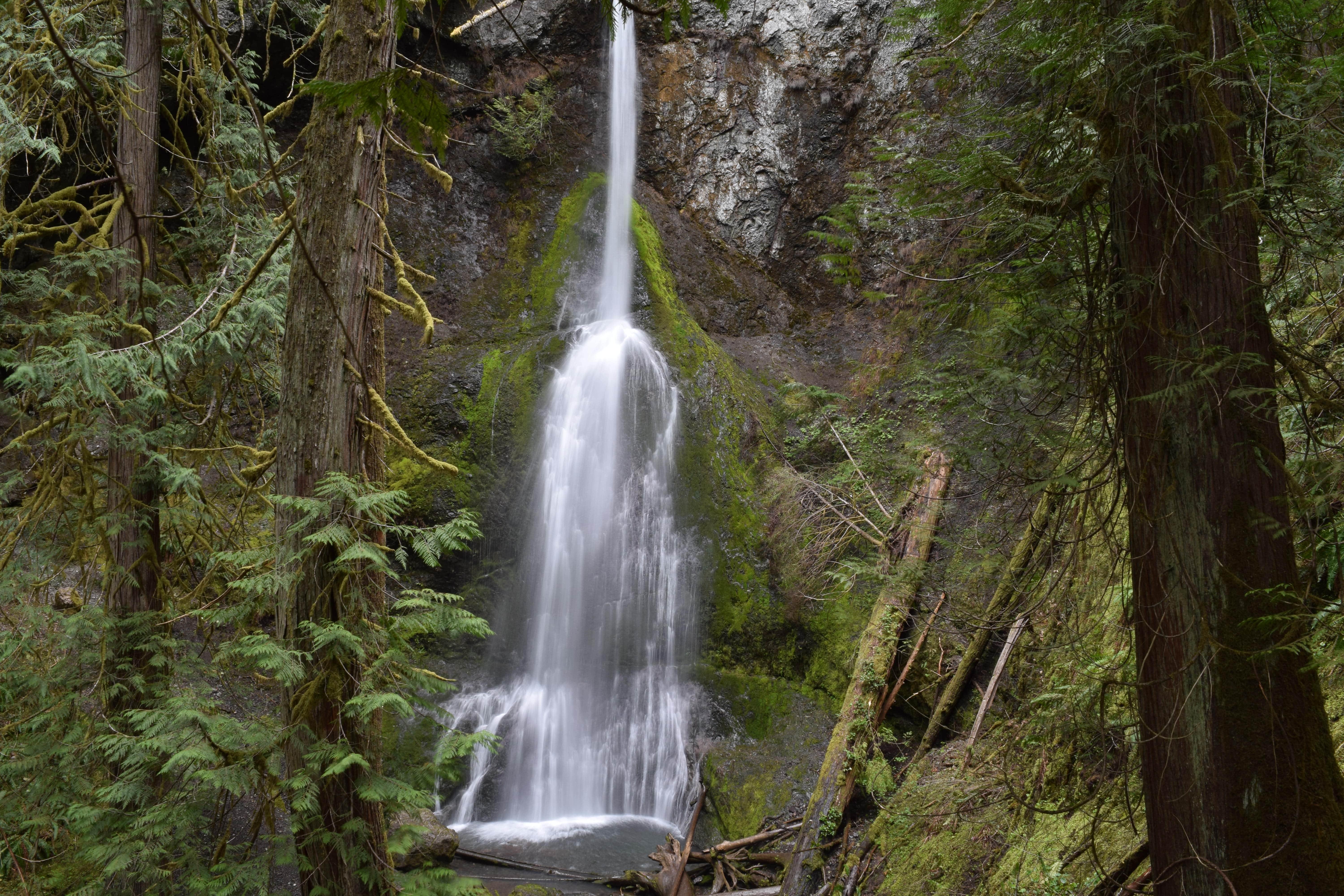 Olympic National Park: Elwha Valley & Lake Crescent Guided Half-Day Tour