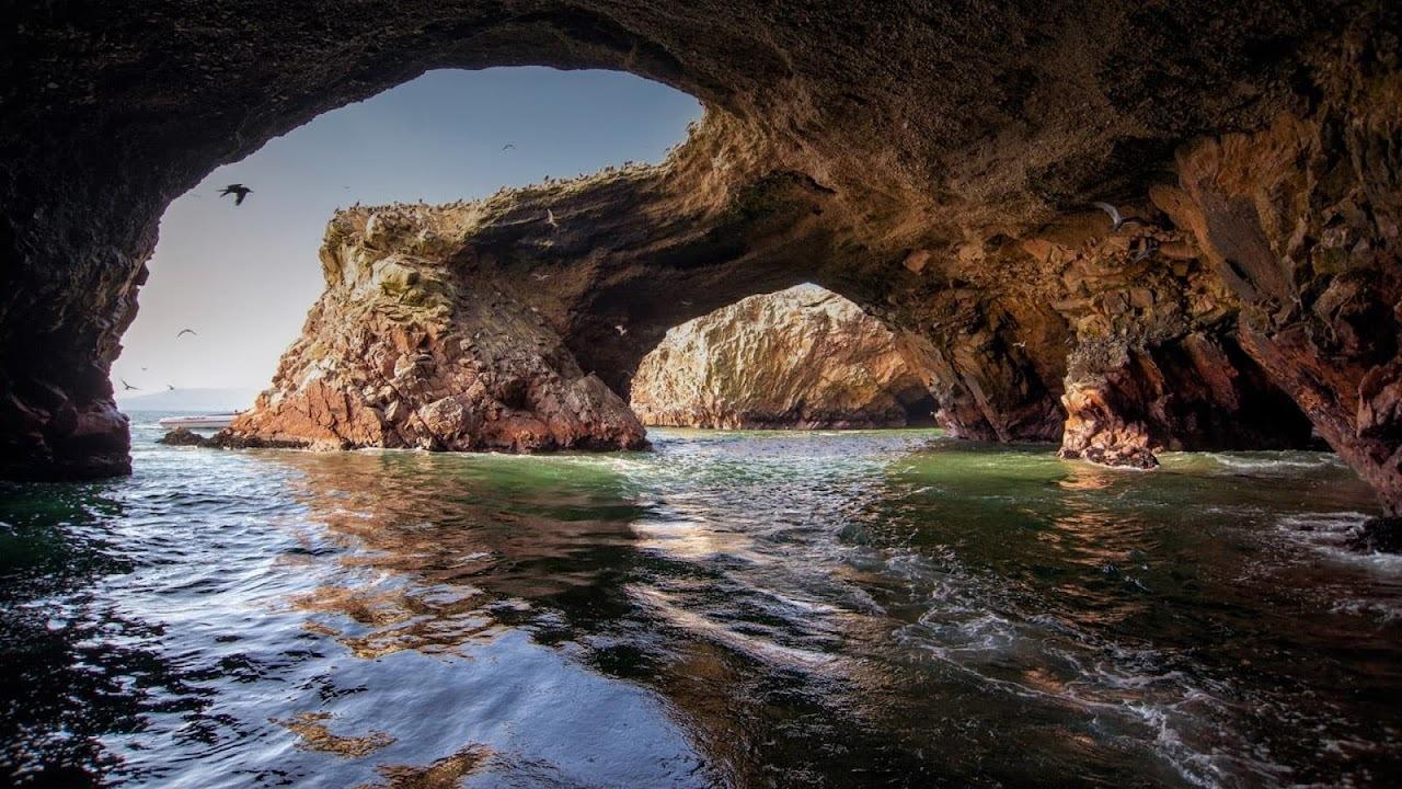 Excursión de un día a Paracas y Huacachina: vida silvestre, aventura en el desierto y cata de vinos