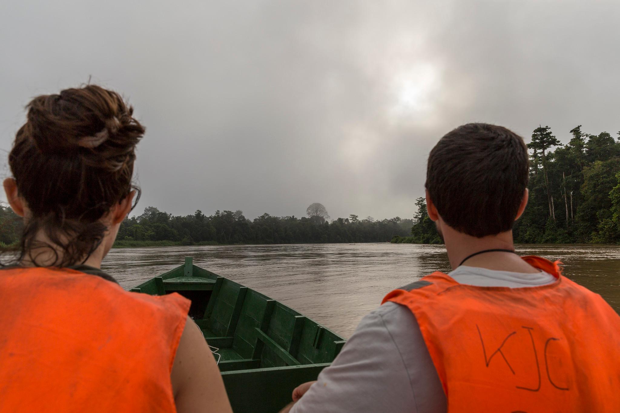 Kinabatangan River Wildlife Safari
