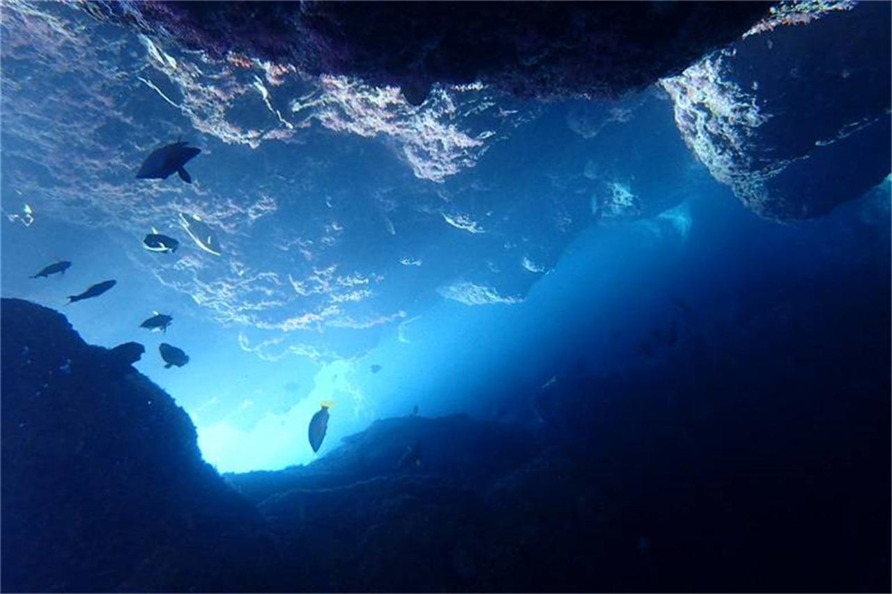 Blue Cave & Whale Shark Ocean Adventure