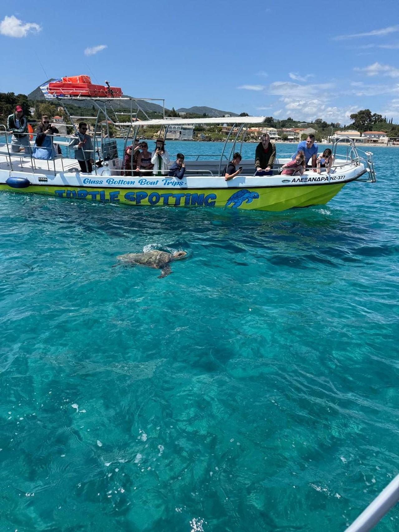 Zakynthos Glass-Bottom Cruise: Turtles, Mizithres & Sea Caves