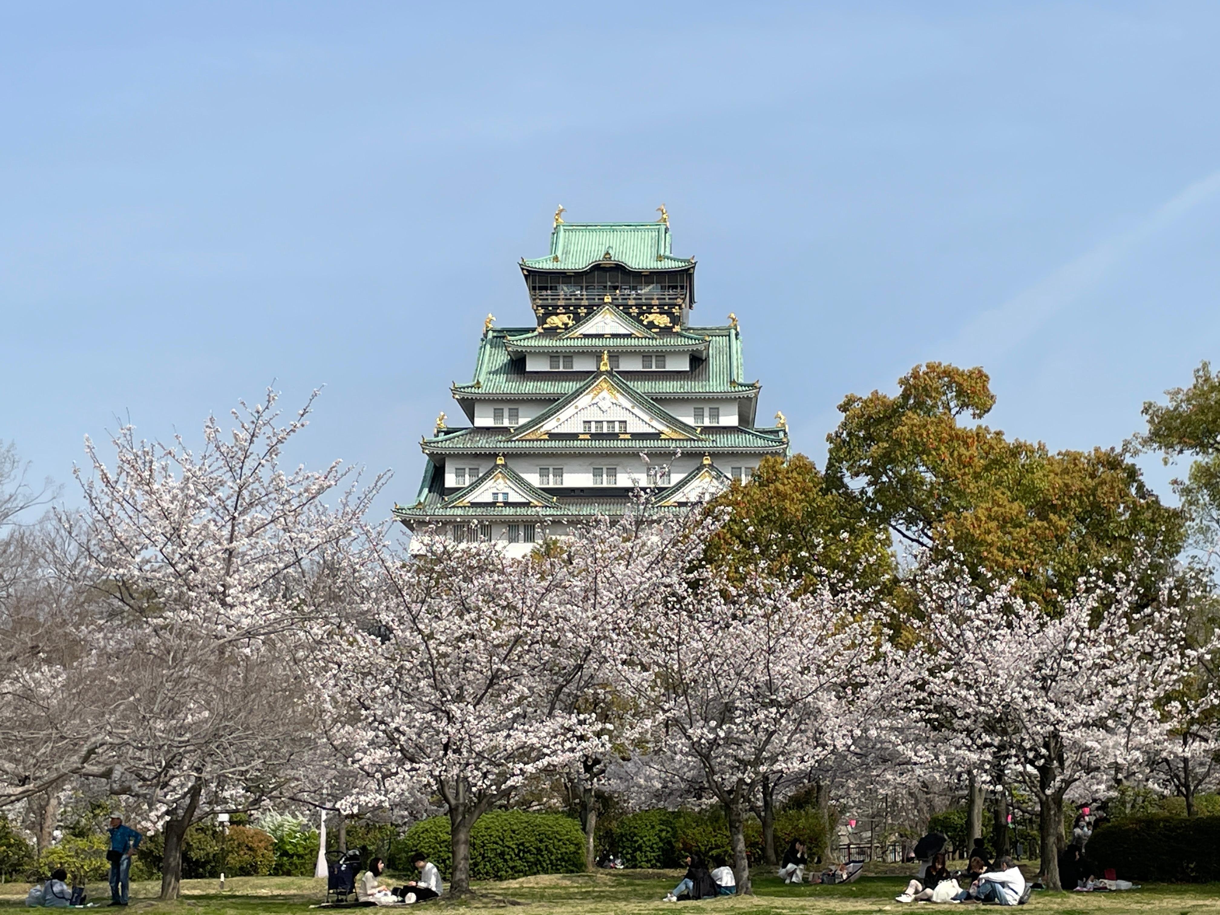 Guided Walking Tour of Osaka Castle & Historical Grounds