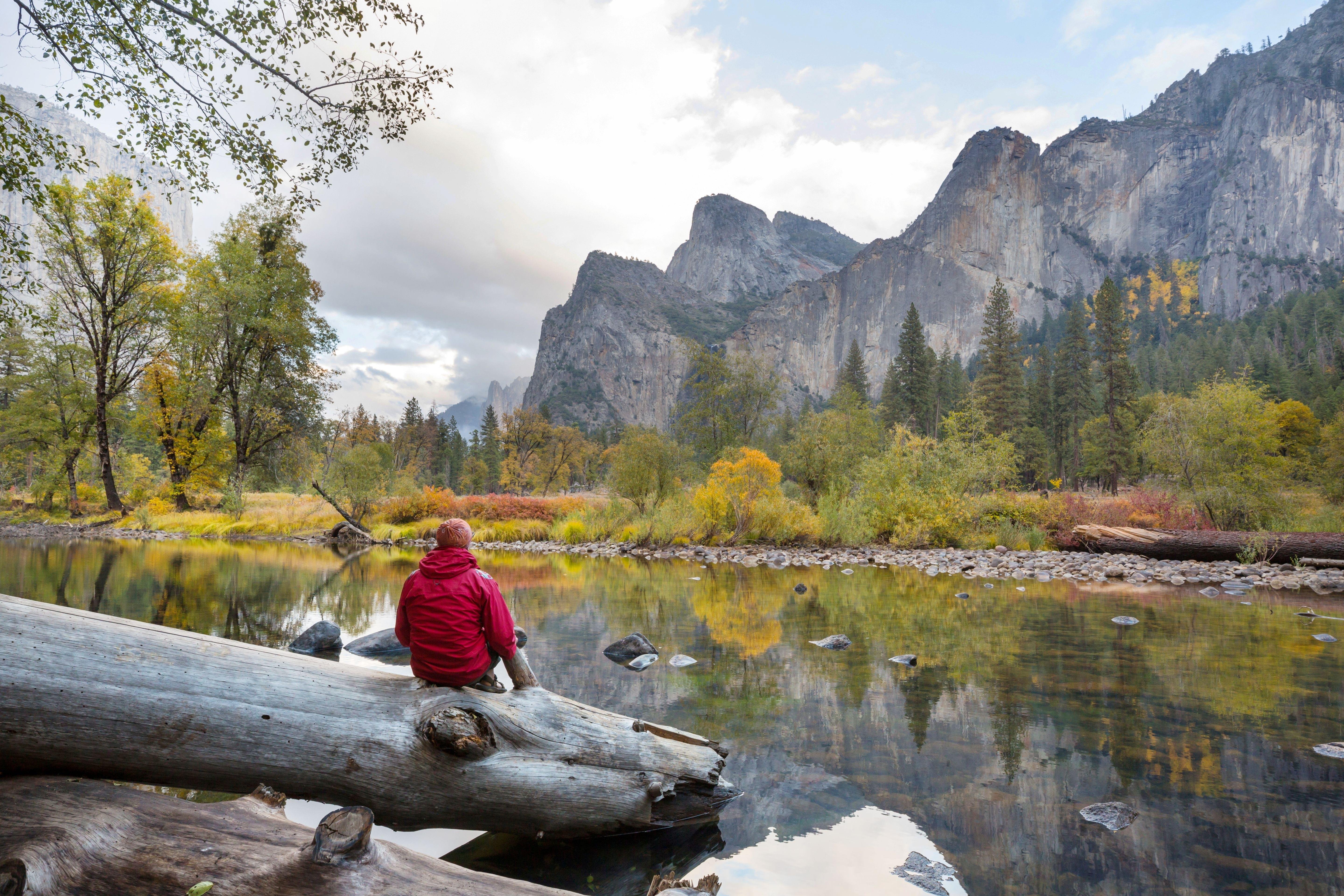 From San Francisco: Day Trip to Yosemite National Park