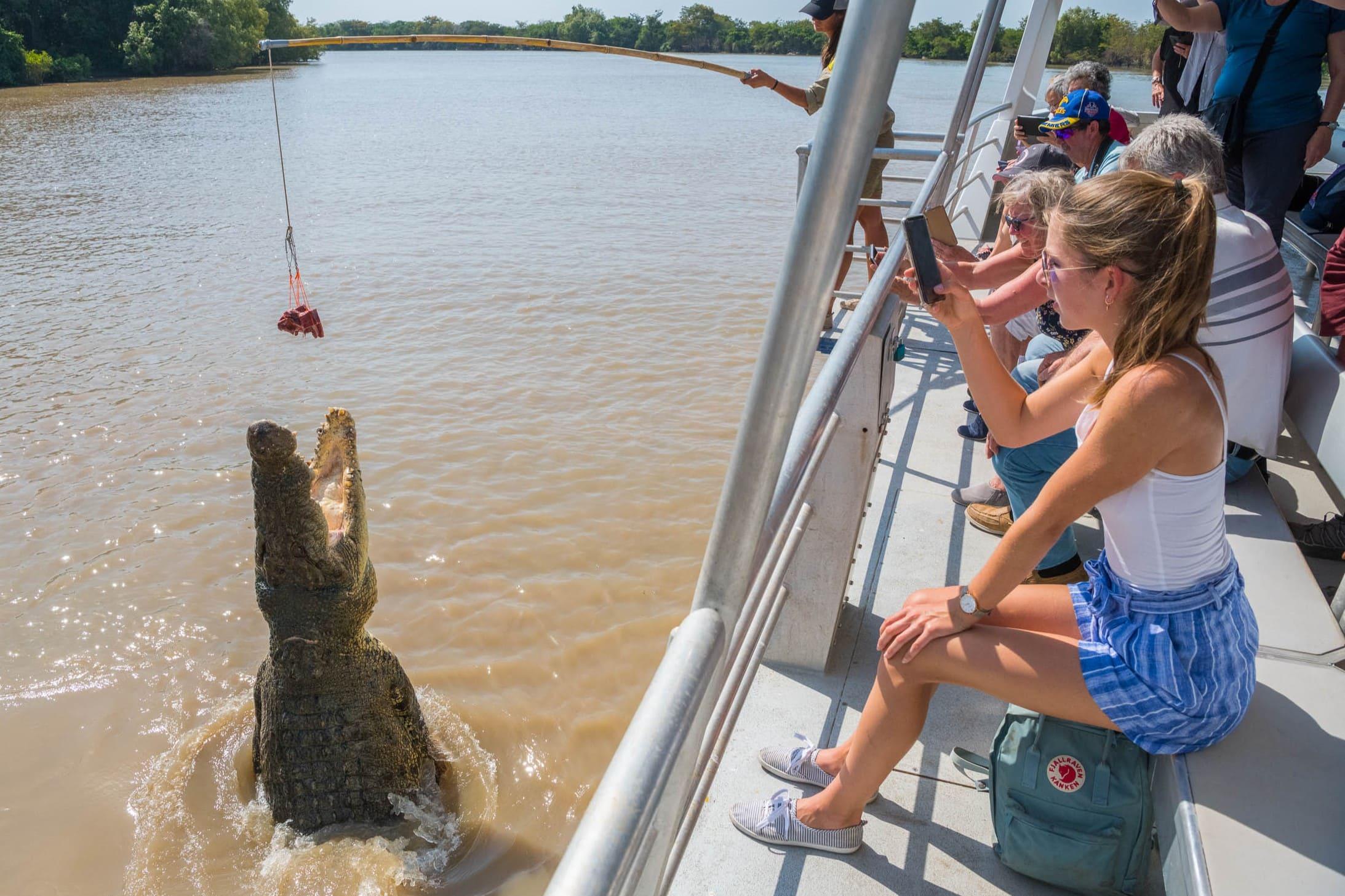 Adelaide River Jumping Crocodile Cruise & Wildlife Tour