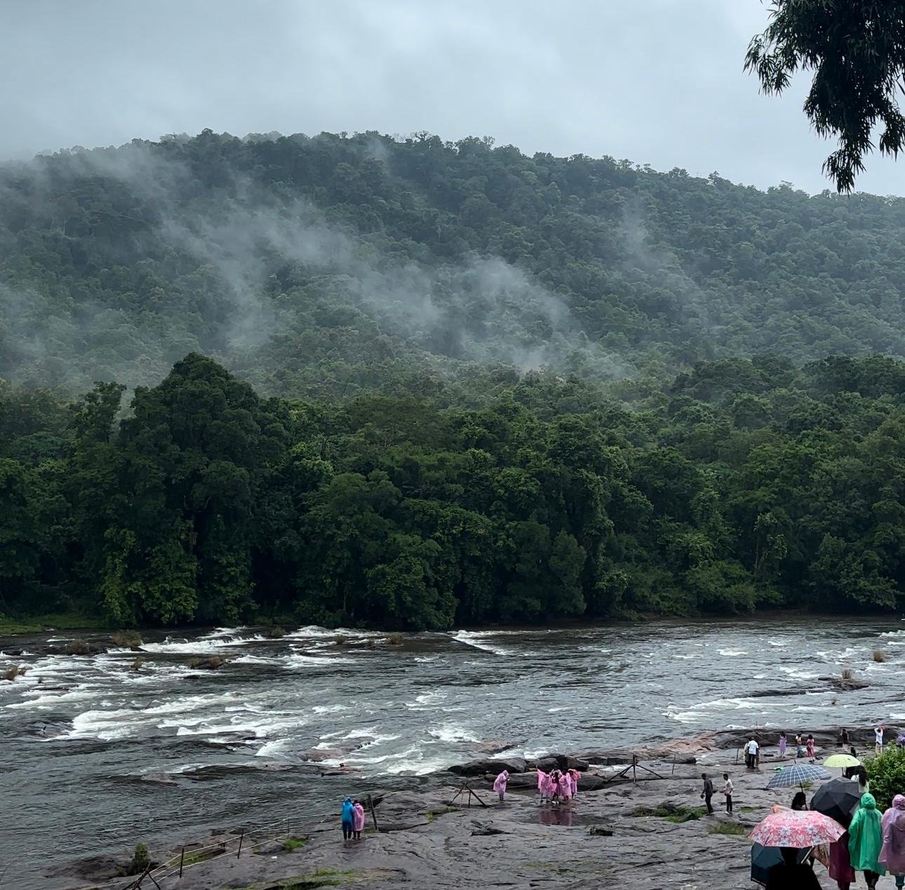 Athirappilly Waterfalls Scenic Day Trip from Kochi