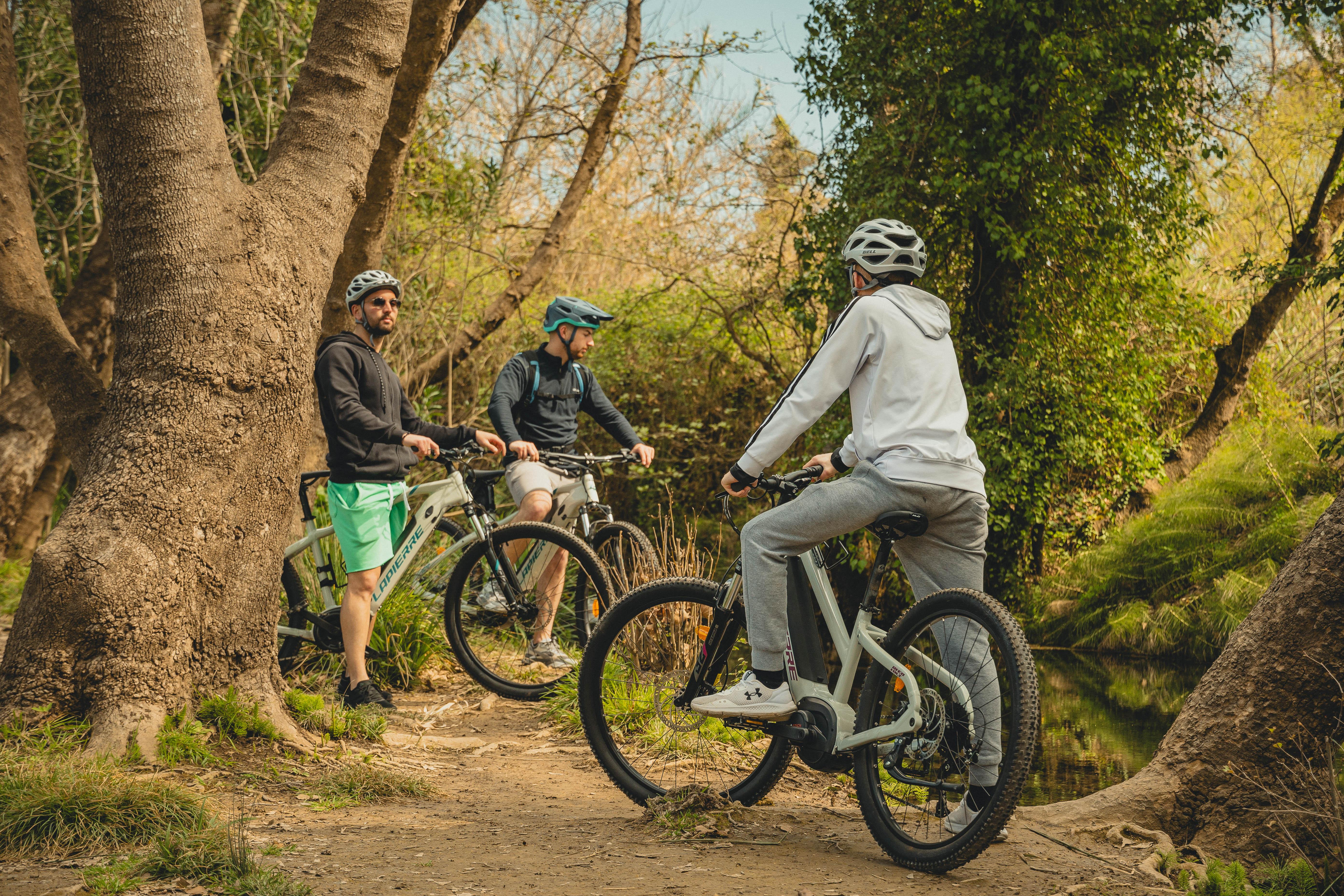Cretan E-Bike Journey Through Villages & Nature
