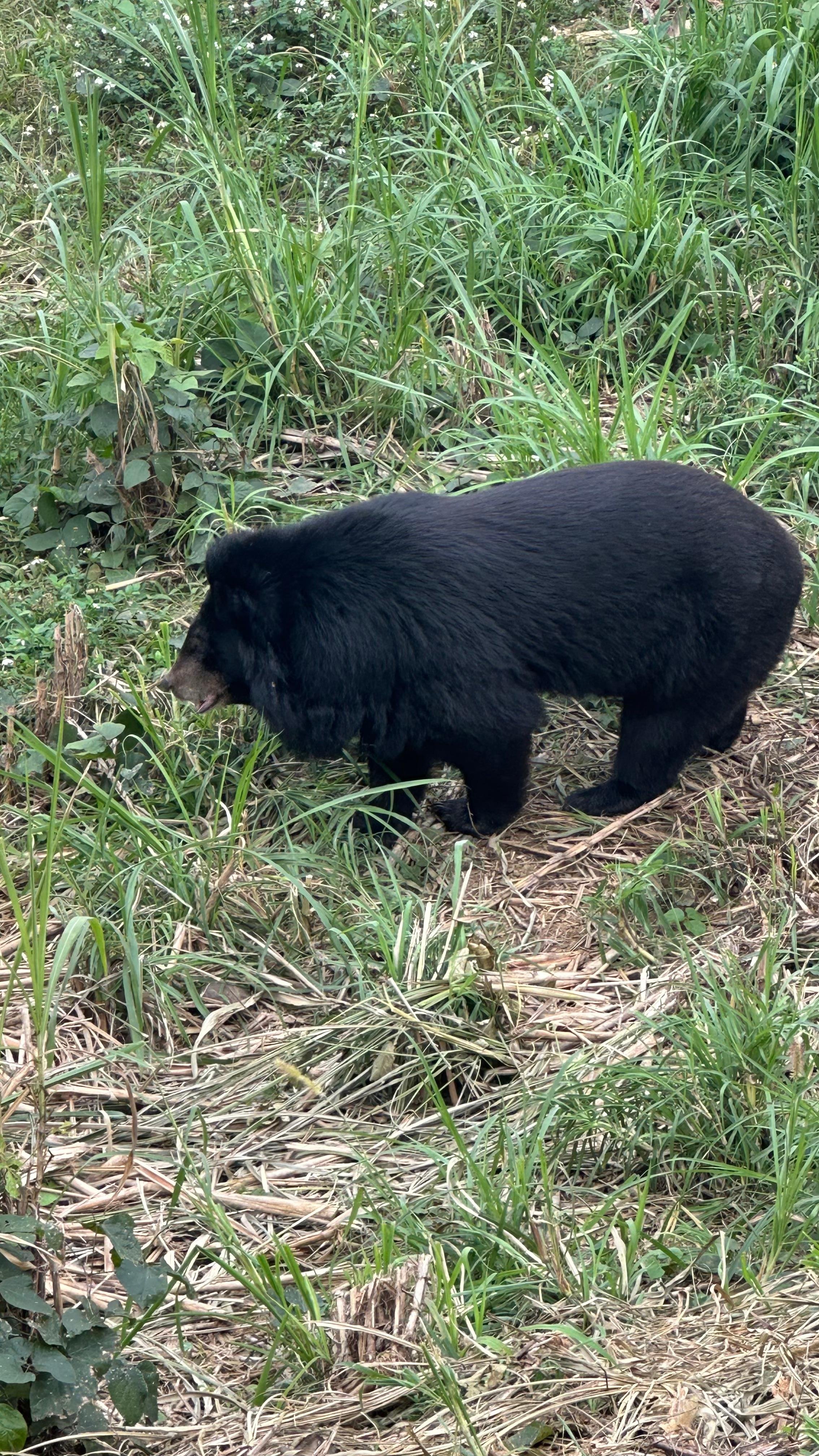 Cuc Phuong National Park Day Trek & Bear Sanctuary from Ninh Binh