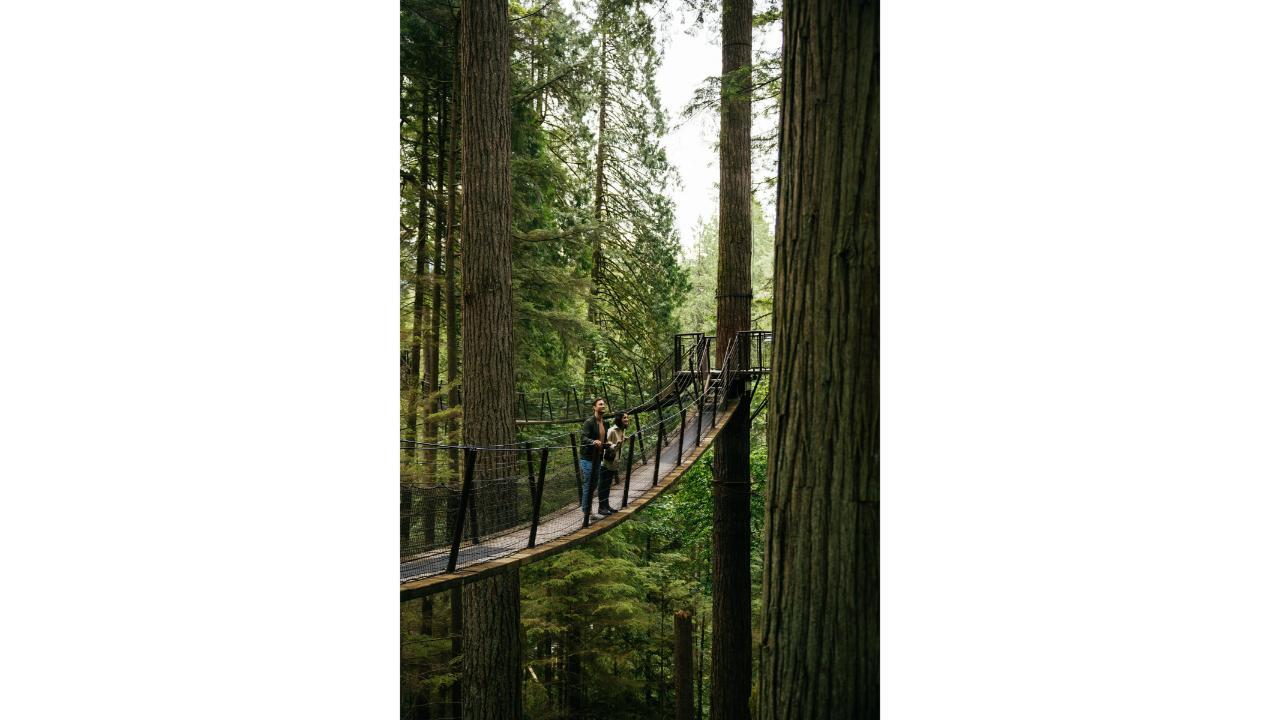 Capilano Suspension Bridge Park Entry