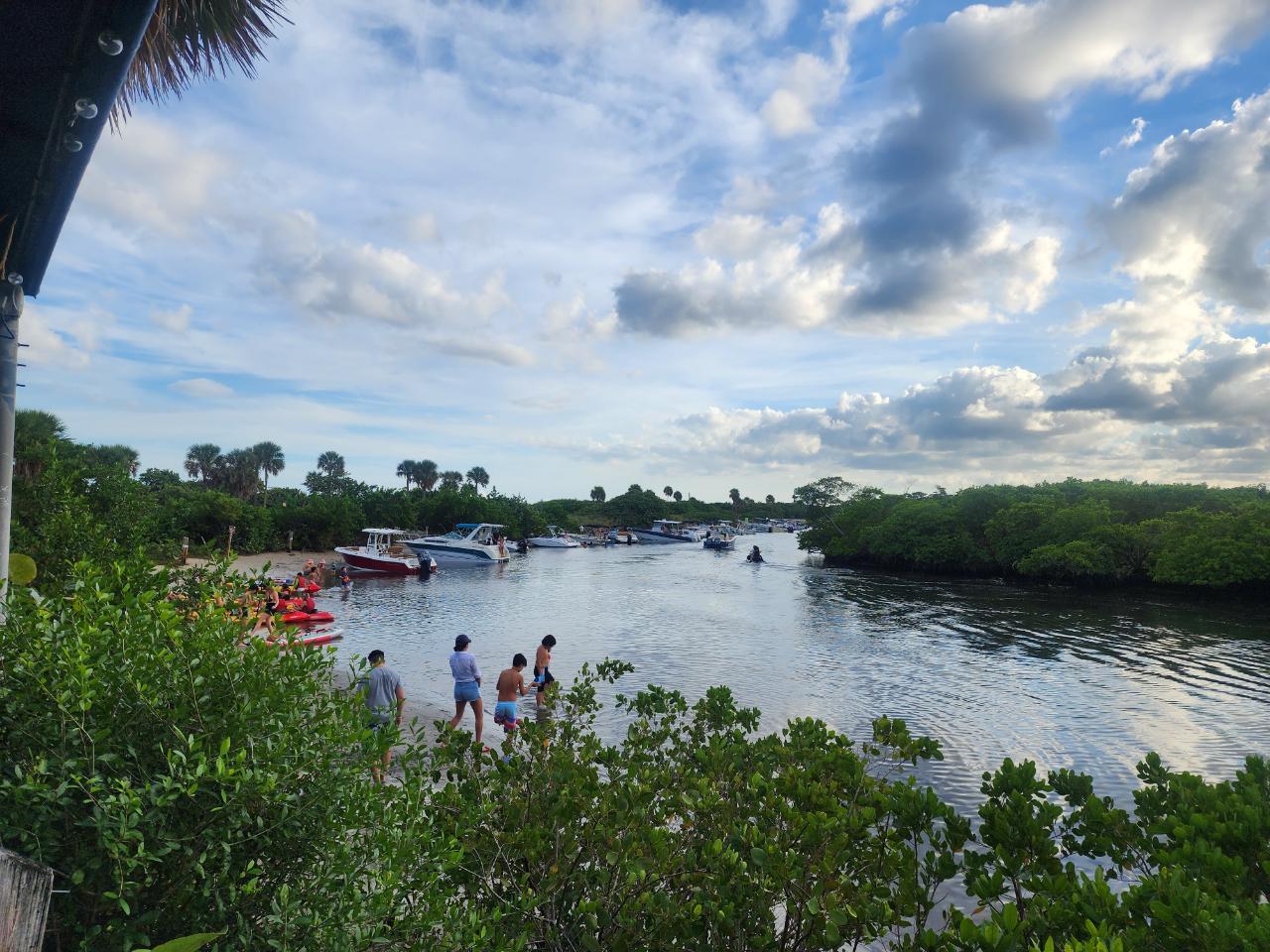 Guided Mangrove Kayak Adventure in Fort Lauderdale