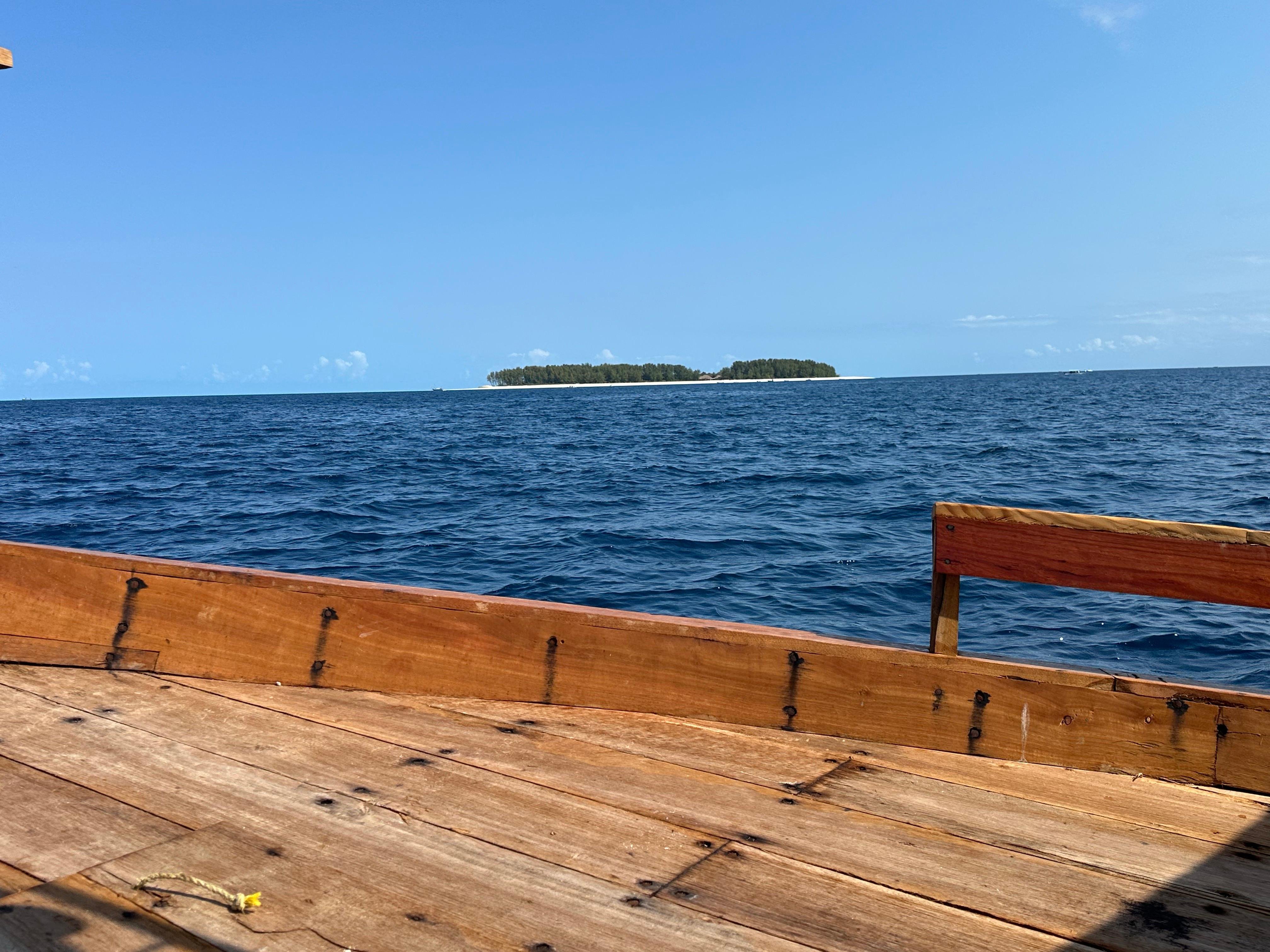 Mnemba Island Dolphin & Snorkel Boat Trip from Matemwe