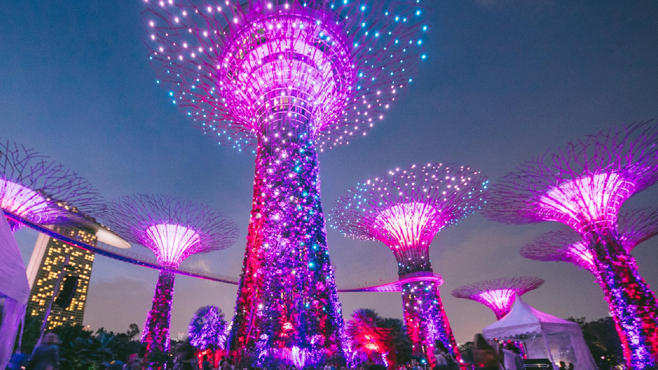 Singapore Night Cruise with Light Shows & F1 Pit Visit