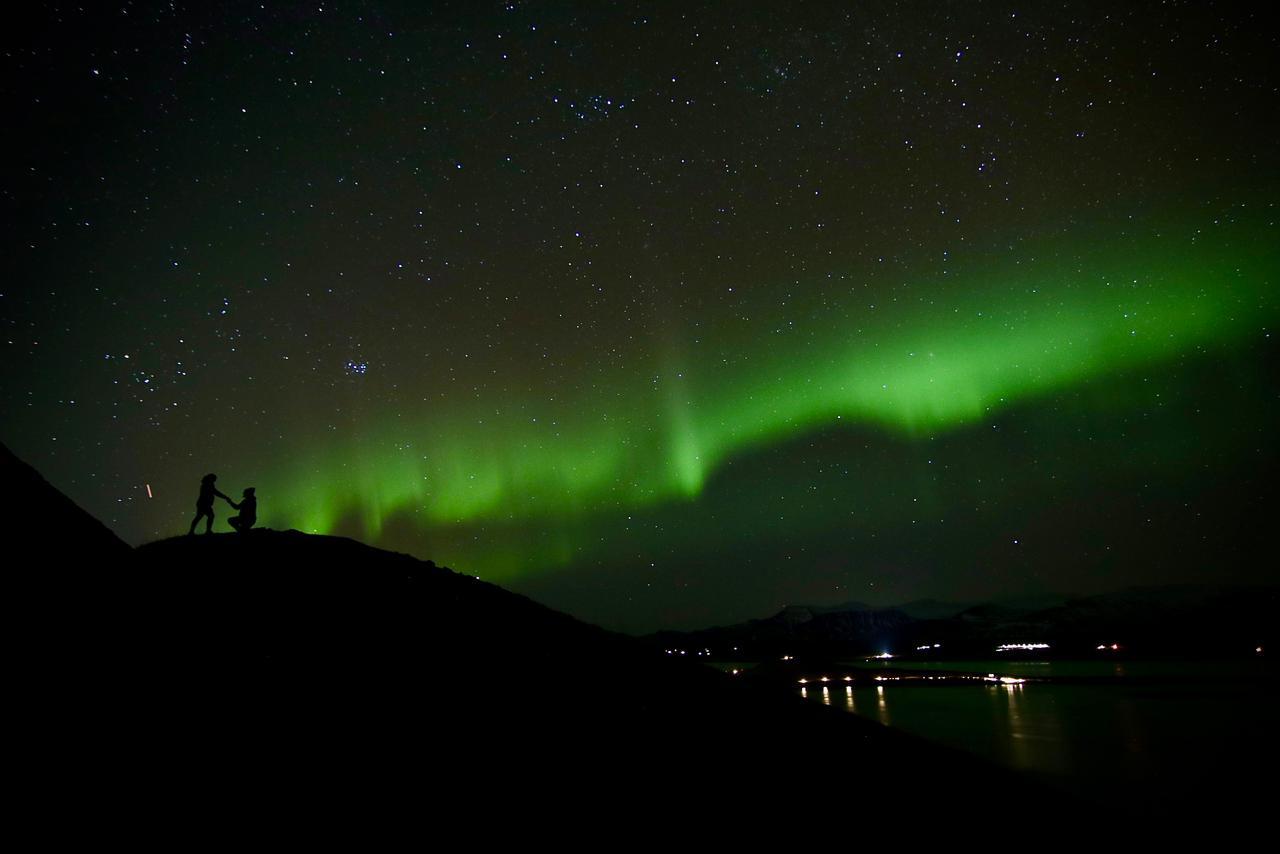 Reykjavik Northern Lights Minibus Hunt with Hot Cocoa