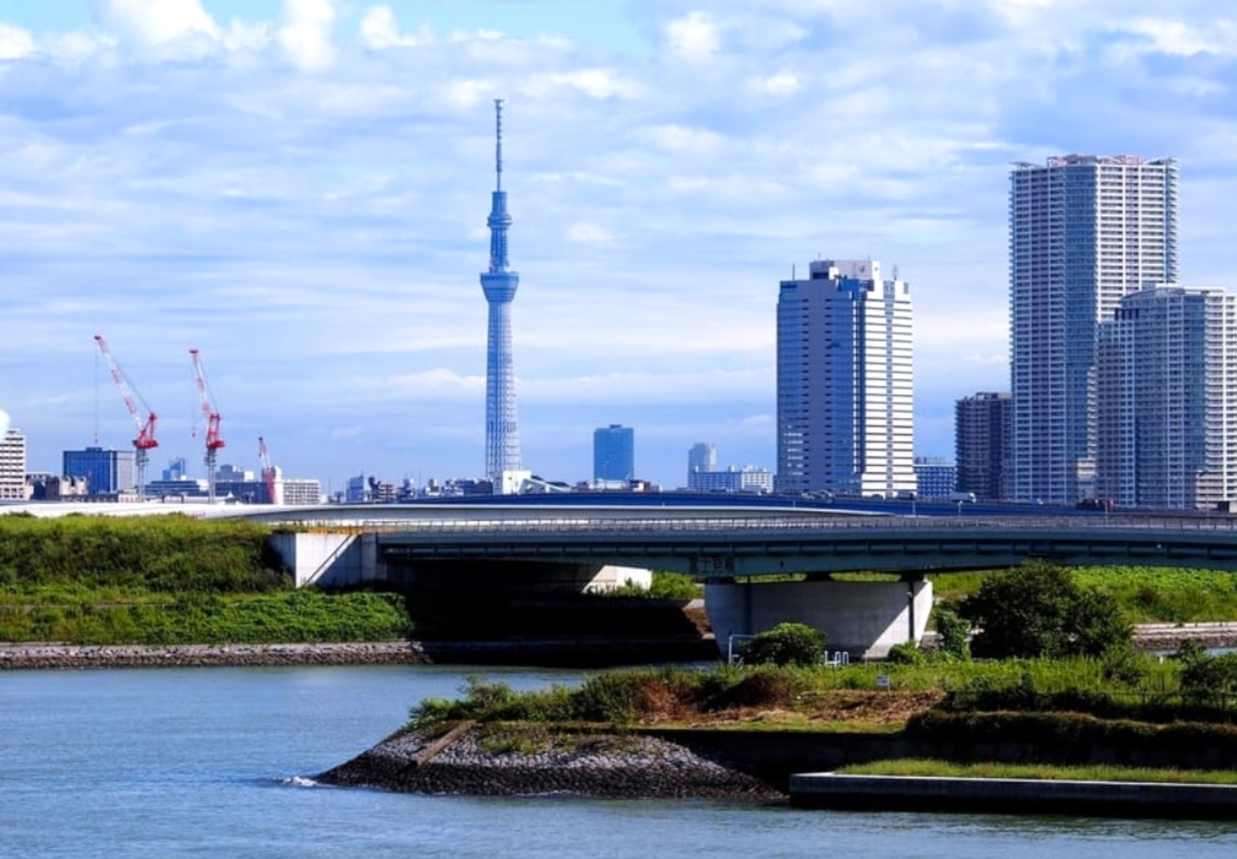 Tokyo Full-Day Private Guided Tour with Hotel Transfers
