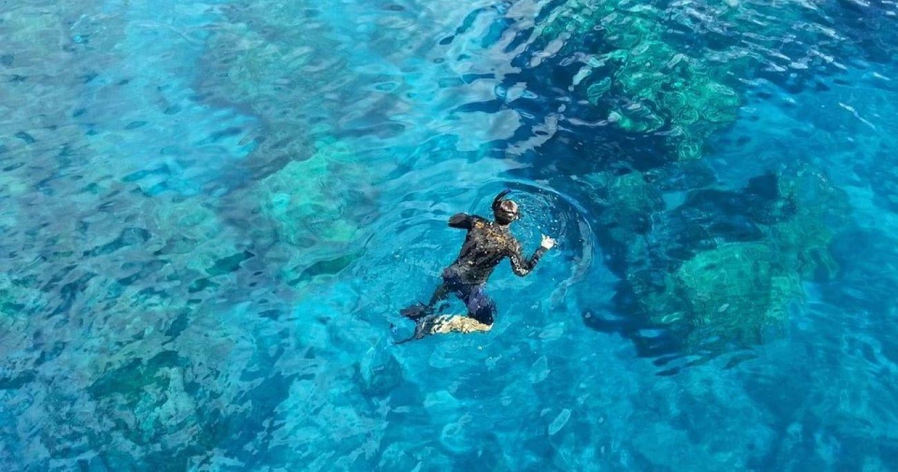 Whale Shark Snorkeling Adventure