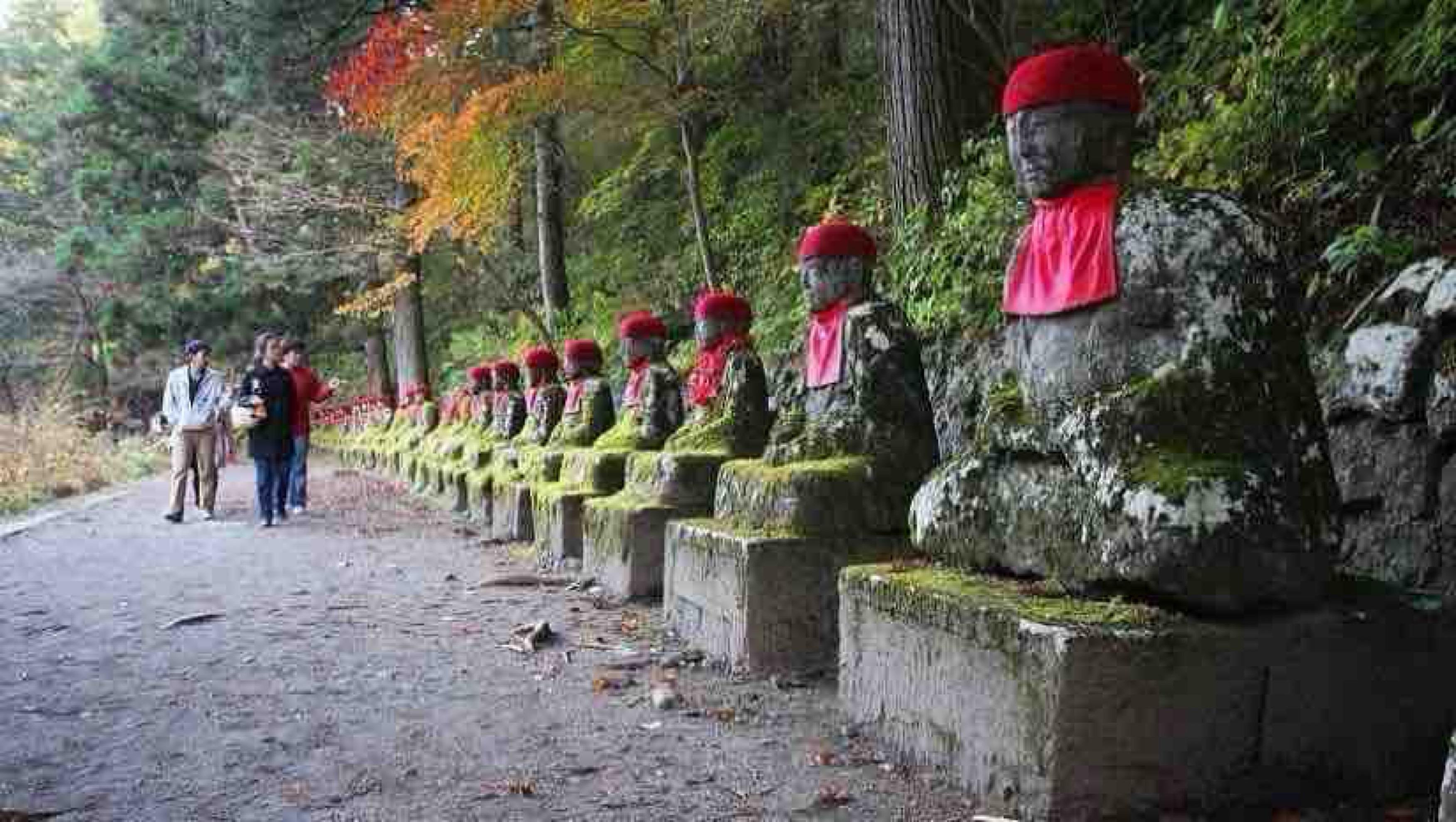 Nikko Photography Day Tour from Tokyo – Private & Customizable