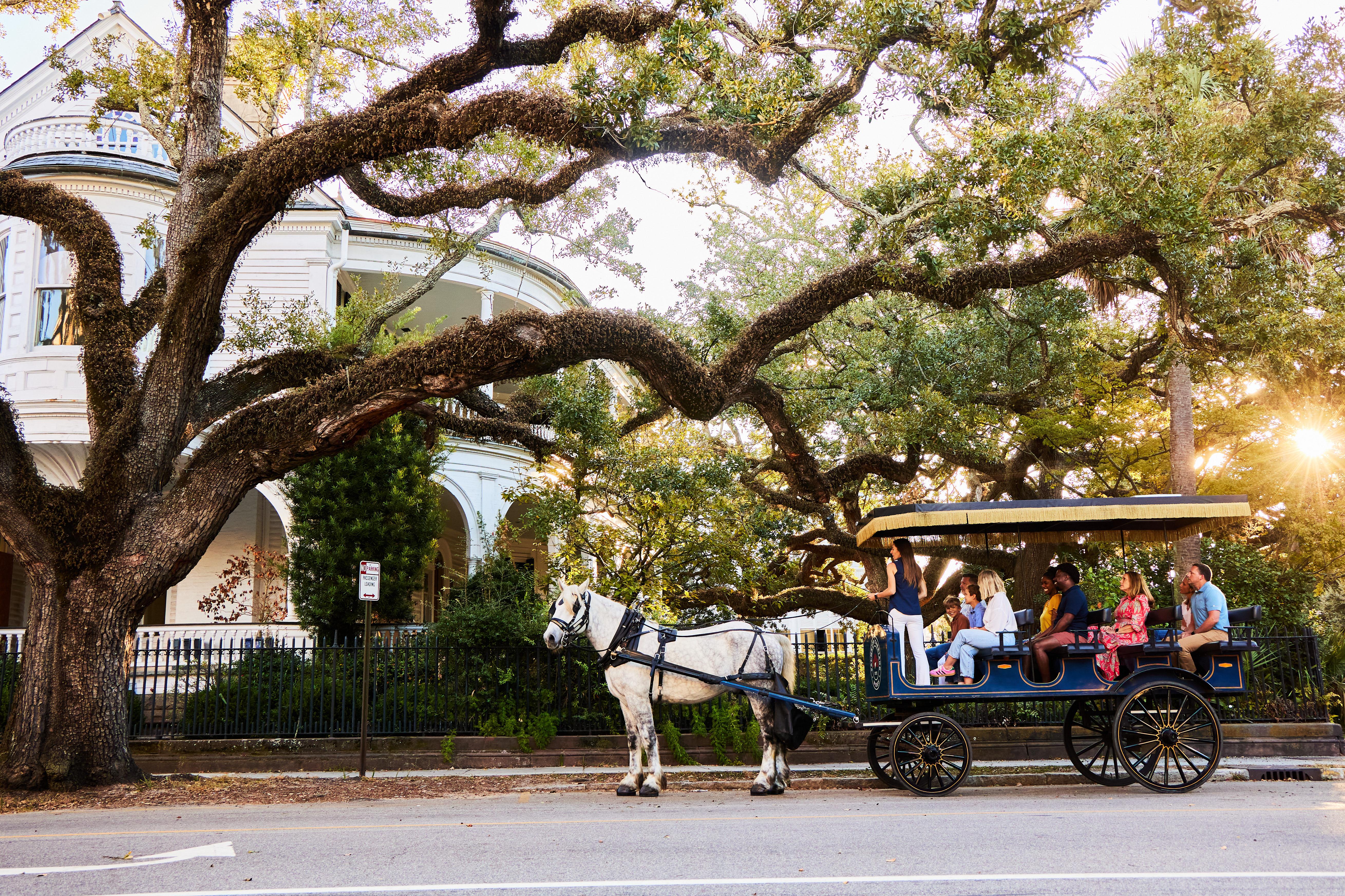 Charleston Downtown Horse-Drawn Carriage Tour