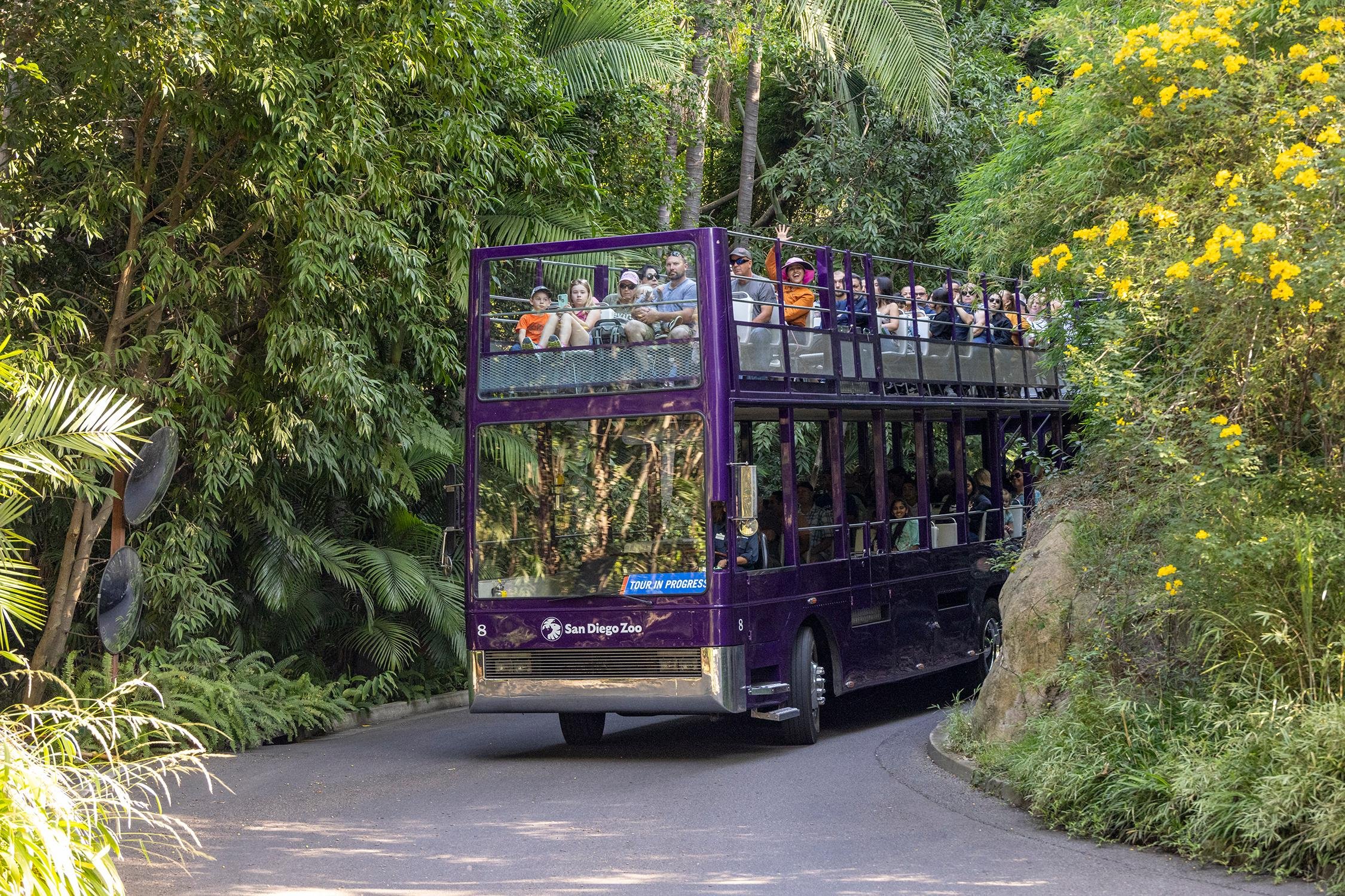 Skyfari aerial tram gliding over the canyons at San Diego Zoo, included with admission