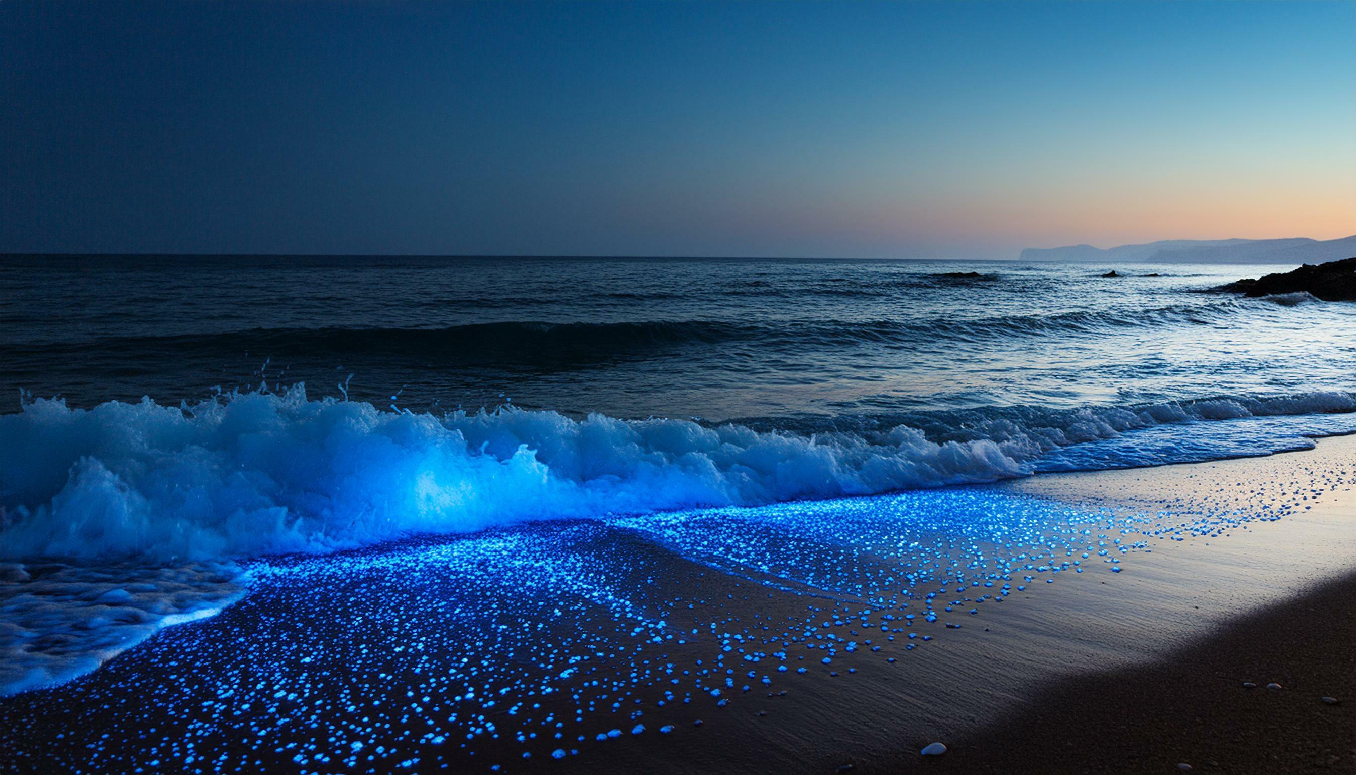 Vieques Clear Kayak Bioluminescent Bay Night Tour