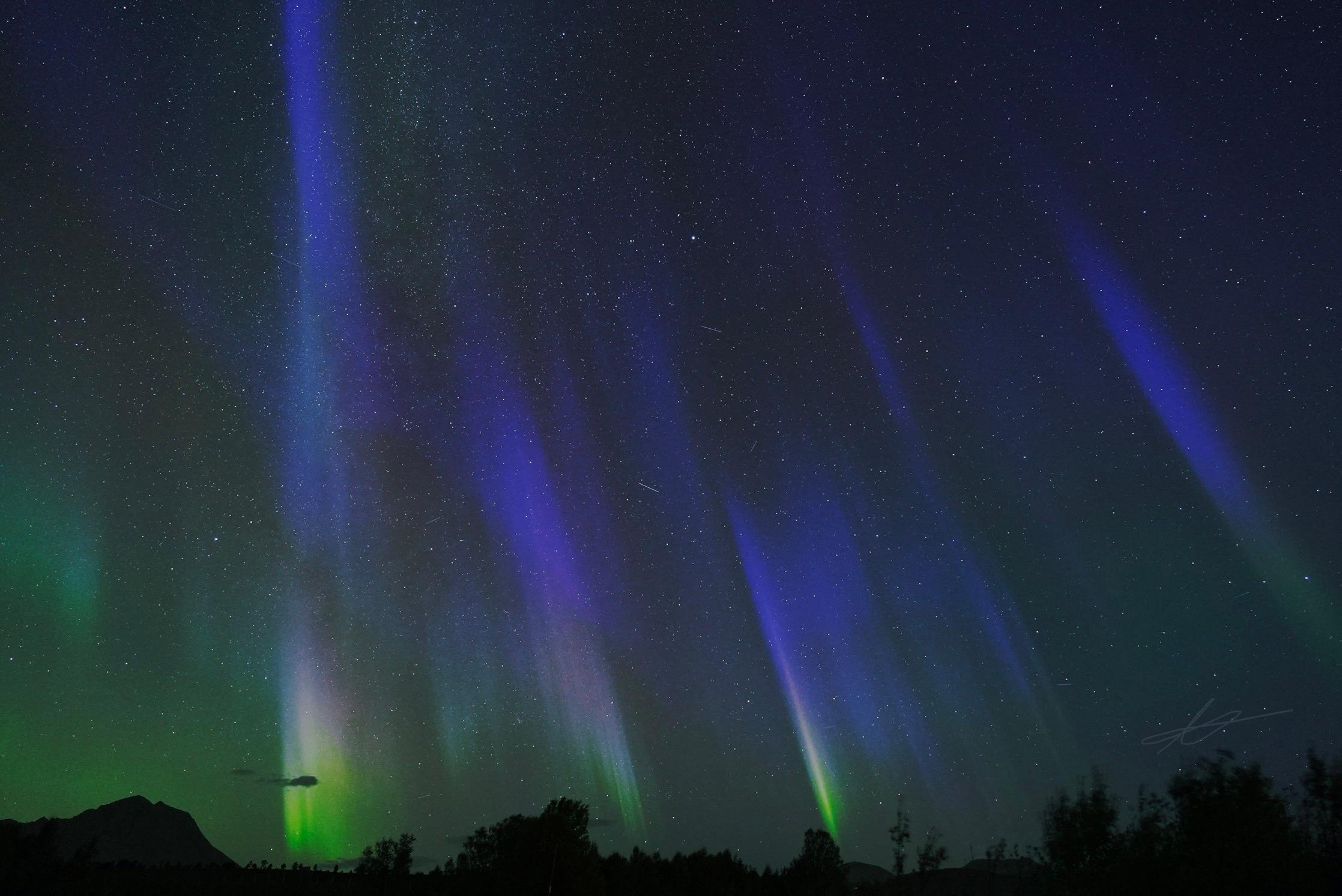 Northern lights chase from Tromsø — image 24