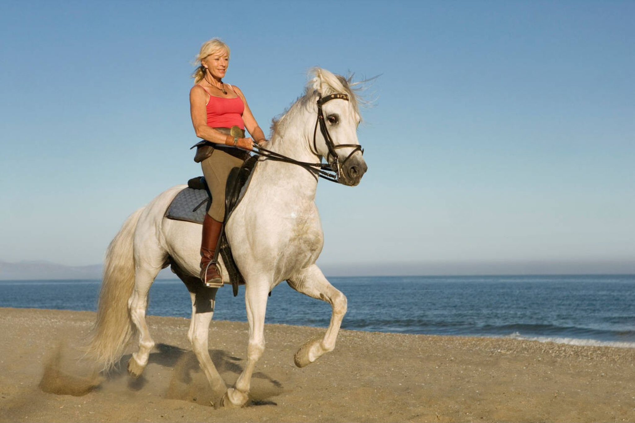 Casablanca Horseback Riding Adventure by the Sea