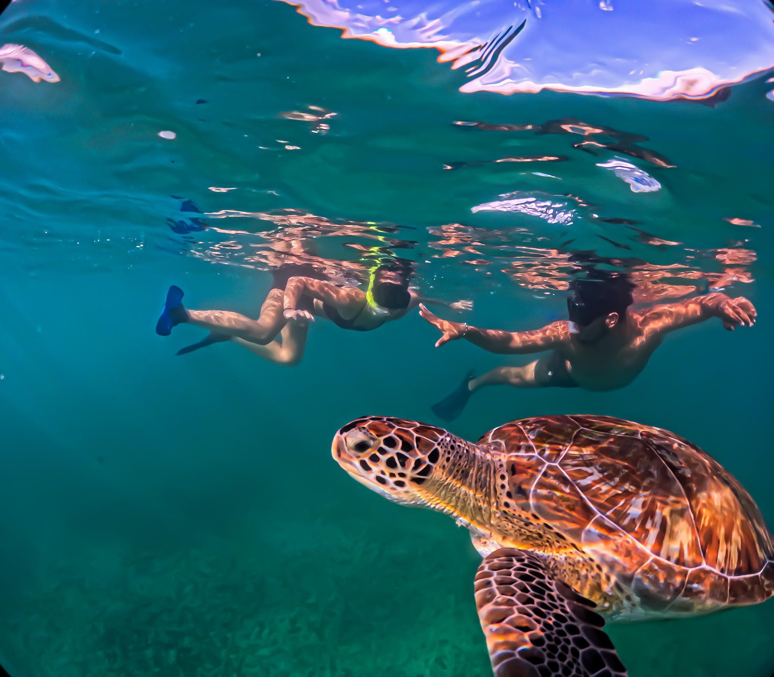 Tulum Boat Adventure: Mayan Ruins, Turtles & Natural Pool