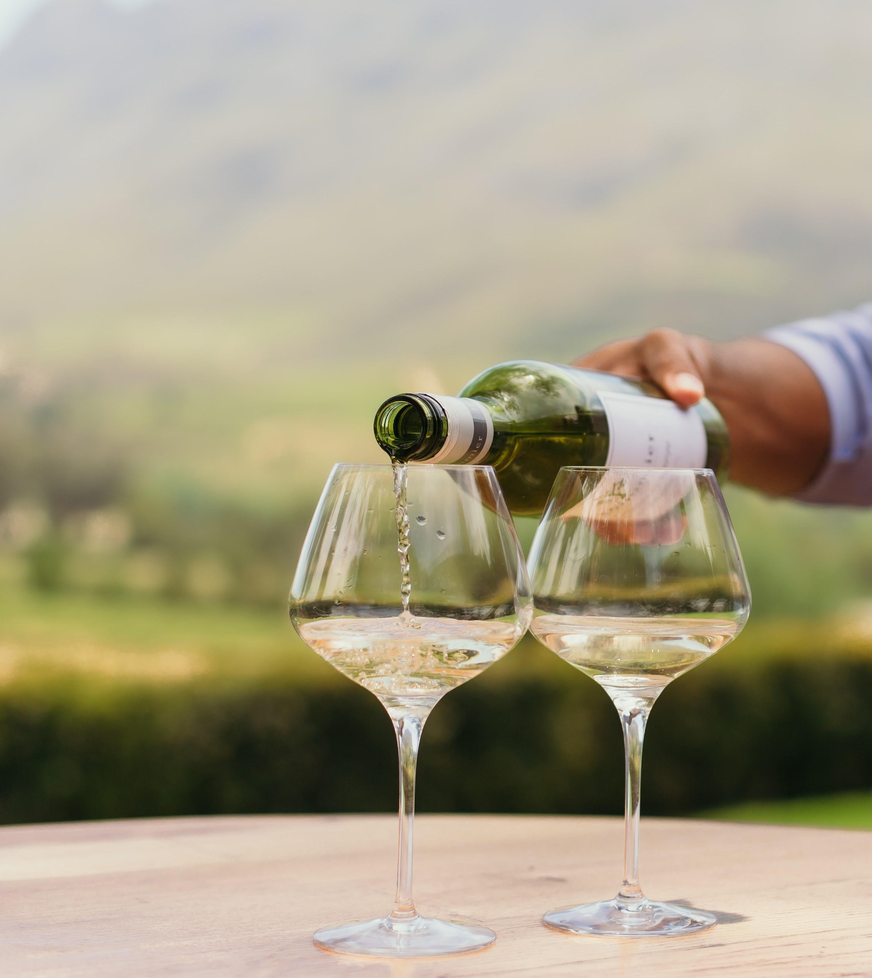 Cape Town Winelands Full-Day Tour: Tastings, Lunch & Cellar Visits