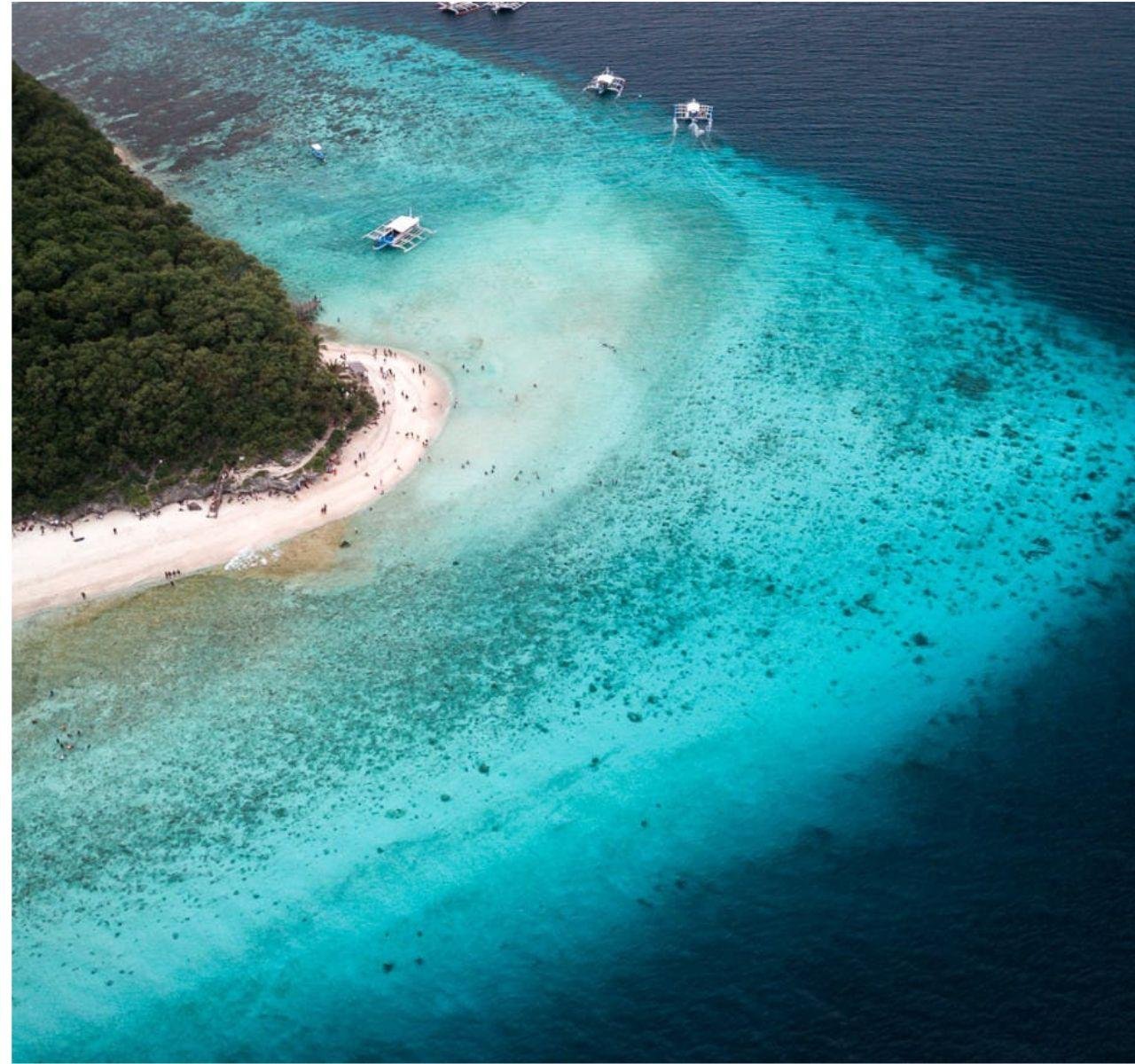 Cebu South Day Tour: Whale Shark Swim & Sumilon Island