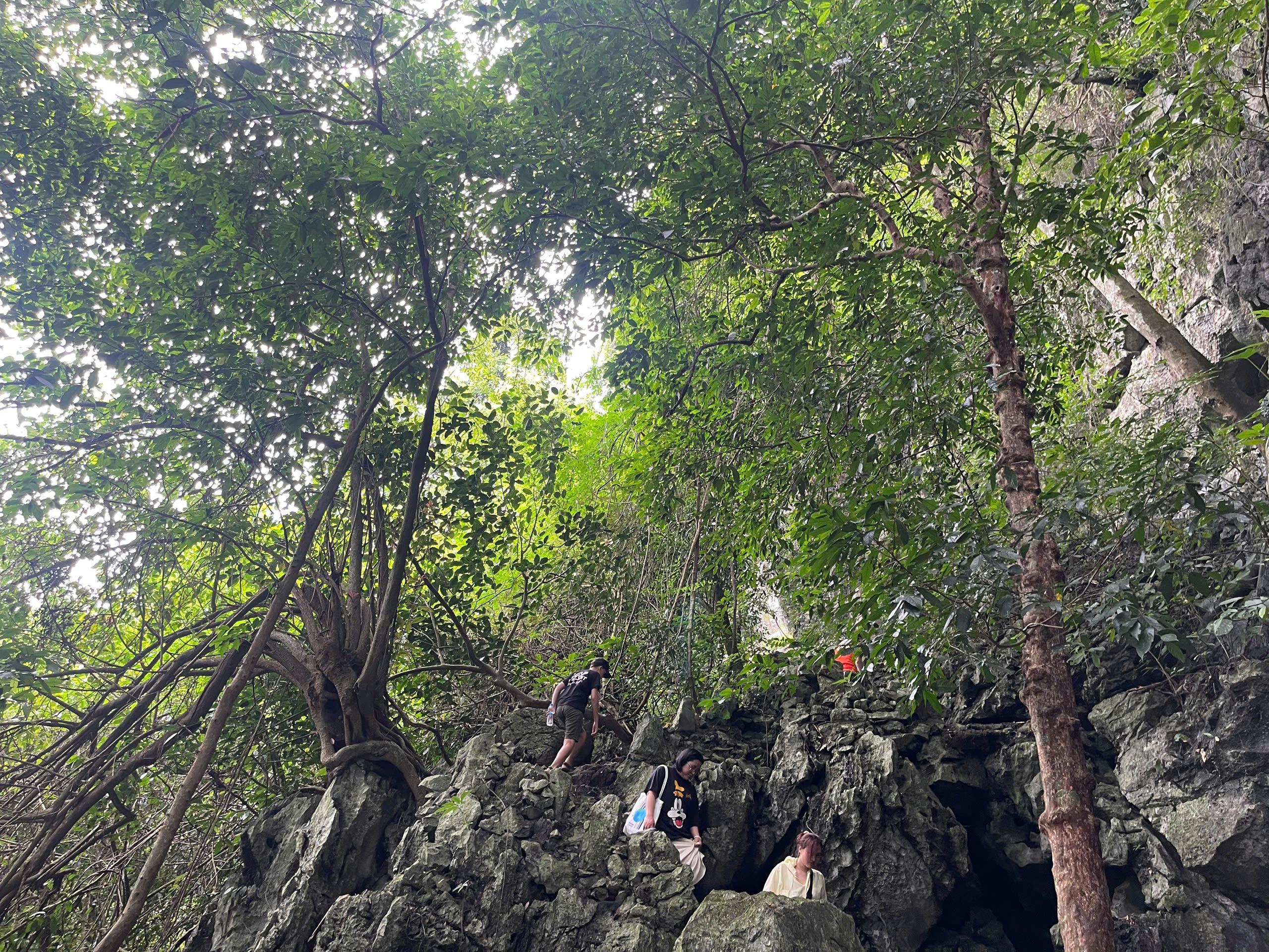 Cuc Phuong National Park: Jungle Trek & Wildlife Day Trip from Ninh Binh