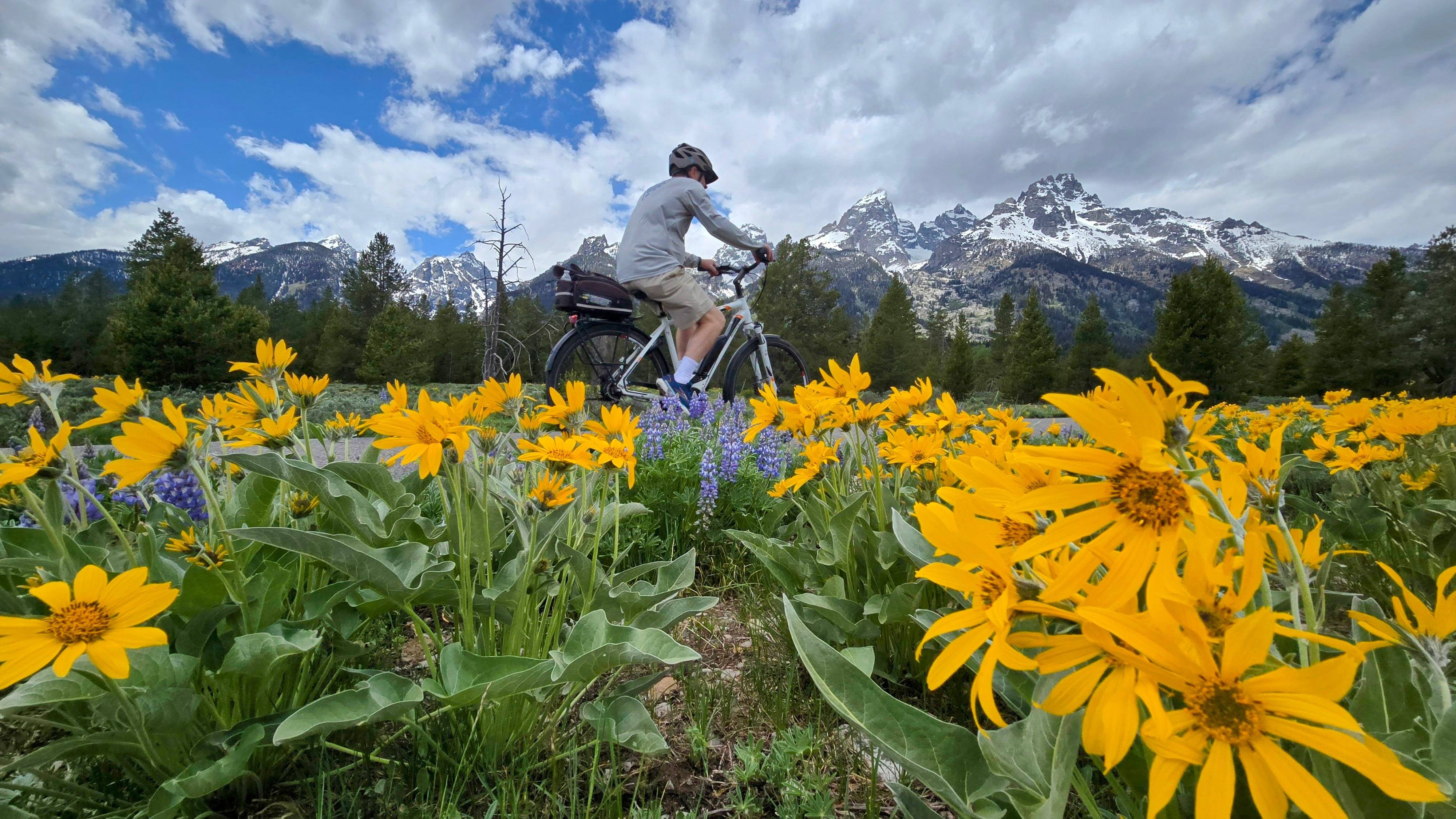 Grand Teton E-Bike Wildlife Adventure