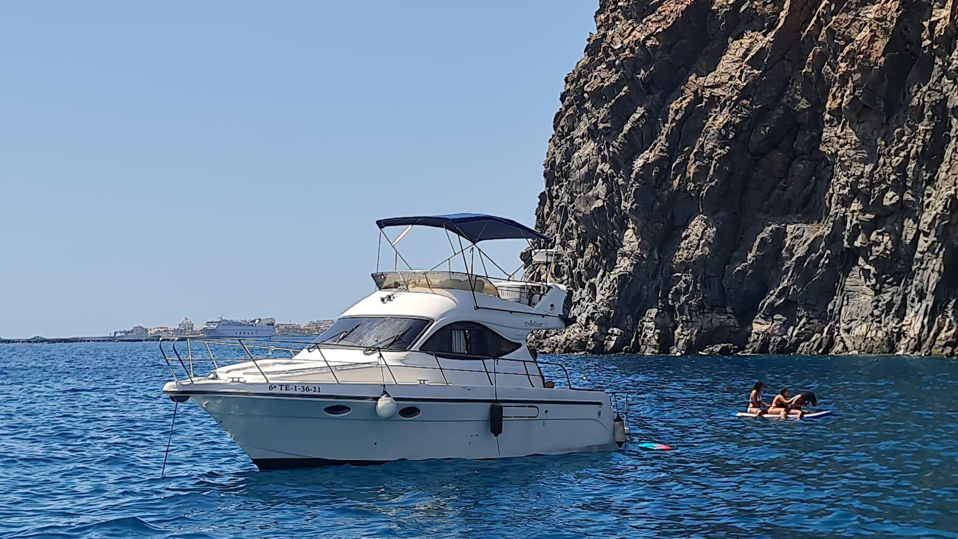 Luxury Whale Watching Safari in South Tenerife