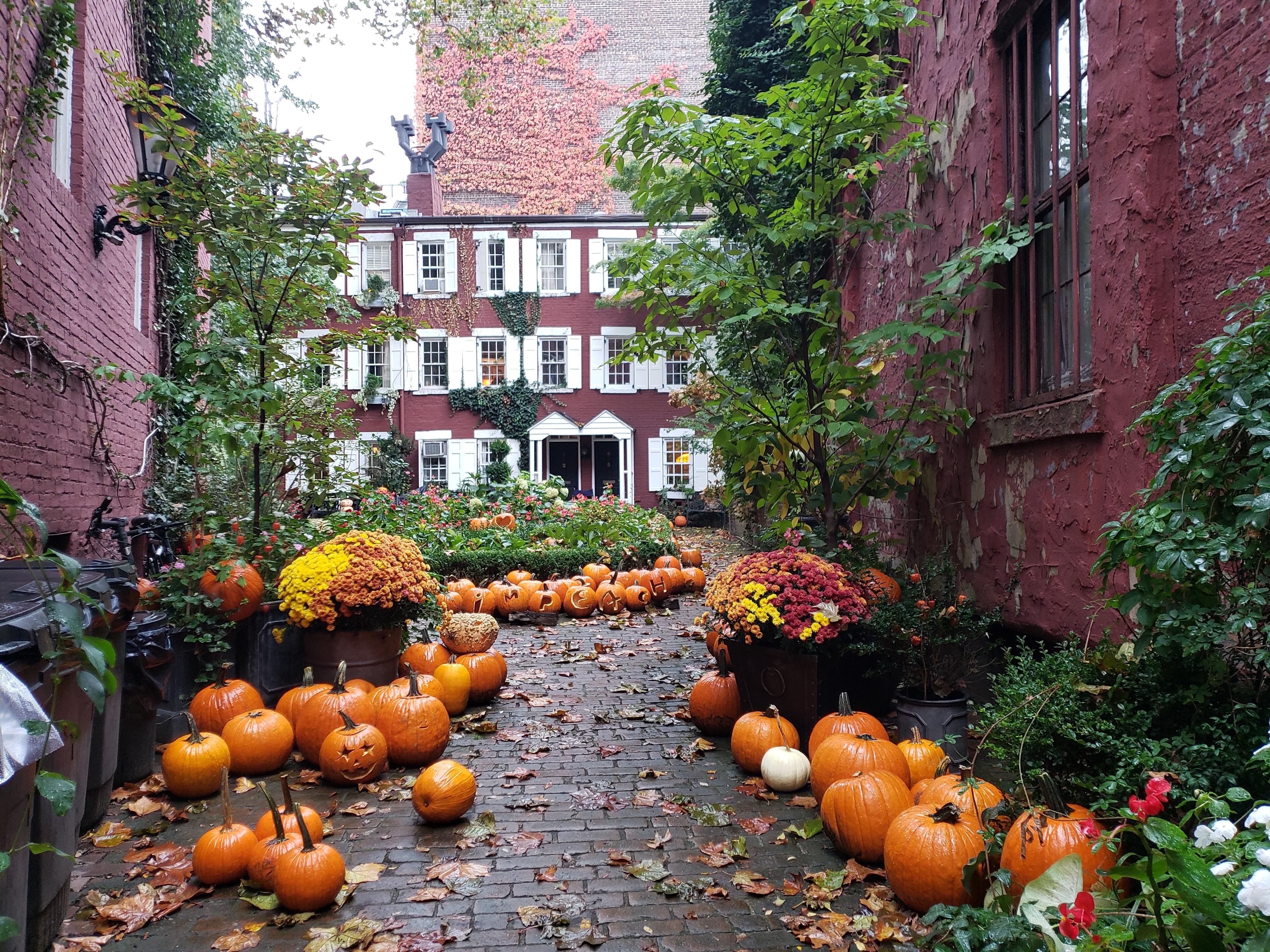 Greenwich Village History & Culture Walking Experience